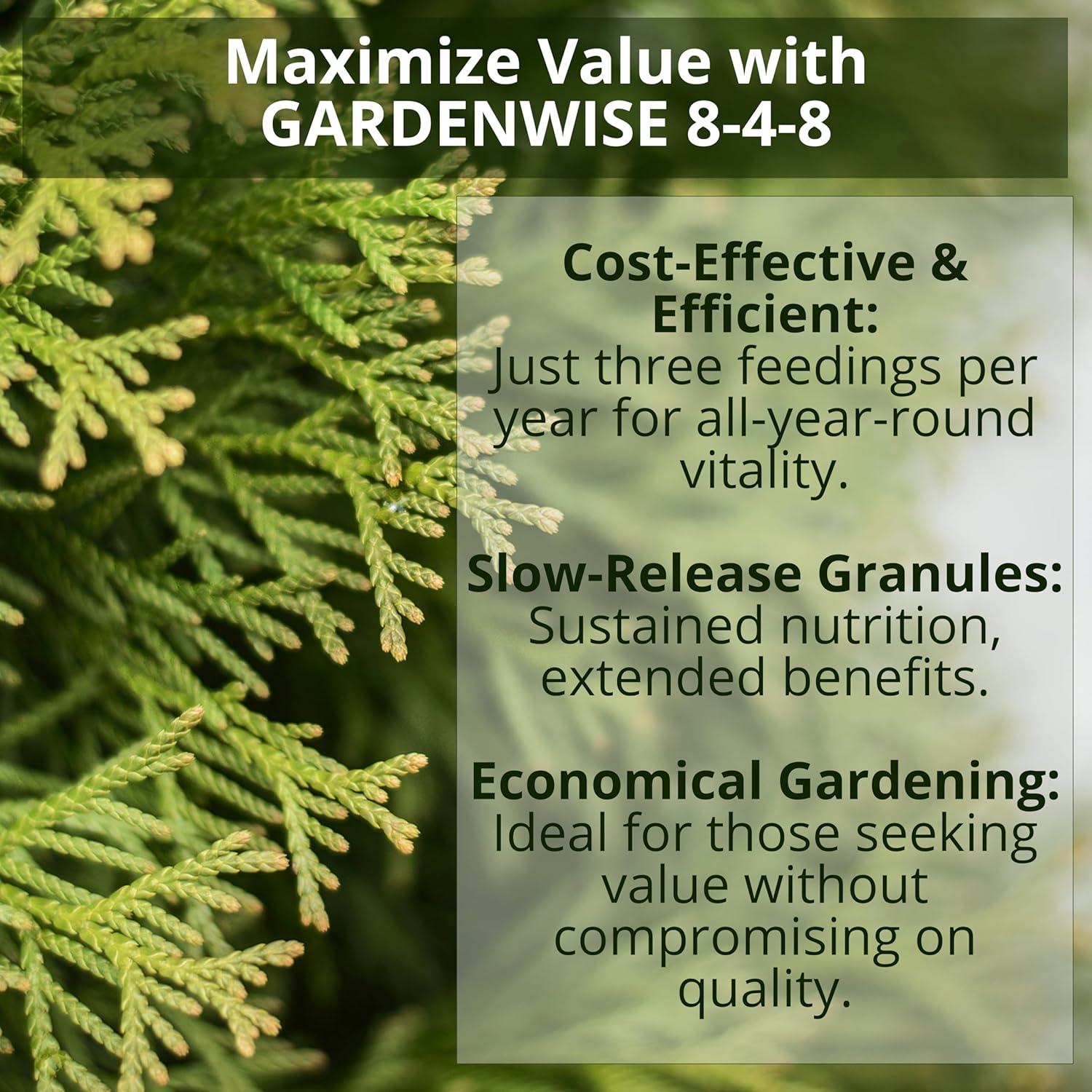 Fertilizante GardenWise 8-4-8 para Azaleas y Hortensias 340 g