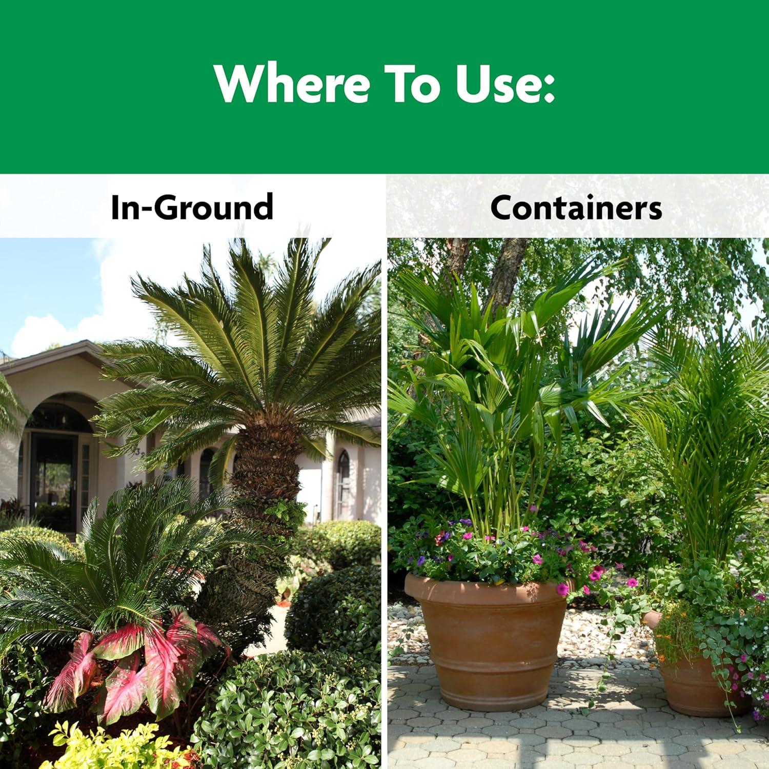 Alimento para Plantas de Palma Miracle-Gro 2.04 kg - Nutre Palmeras y Cícadas