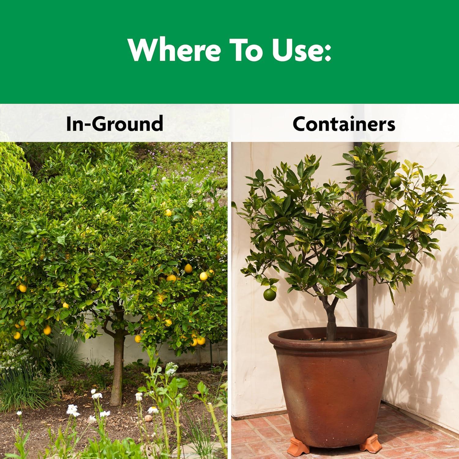 Alimento para Plantas Miracle-Gro 2.04 kg Cítricos Aguacate Mango