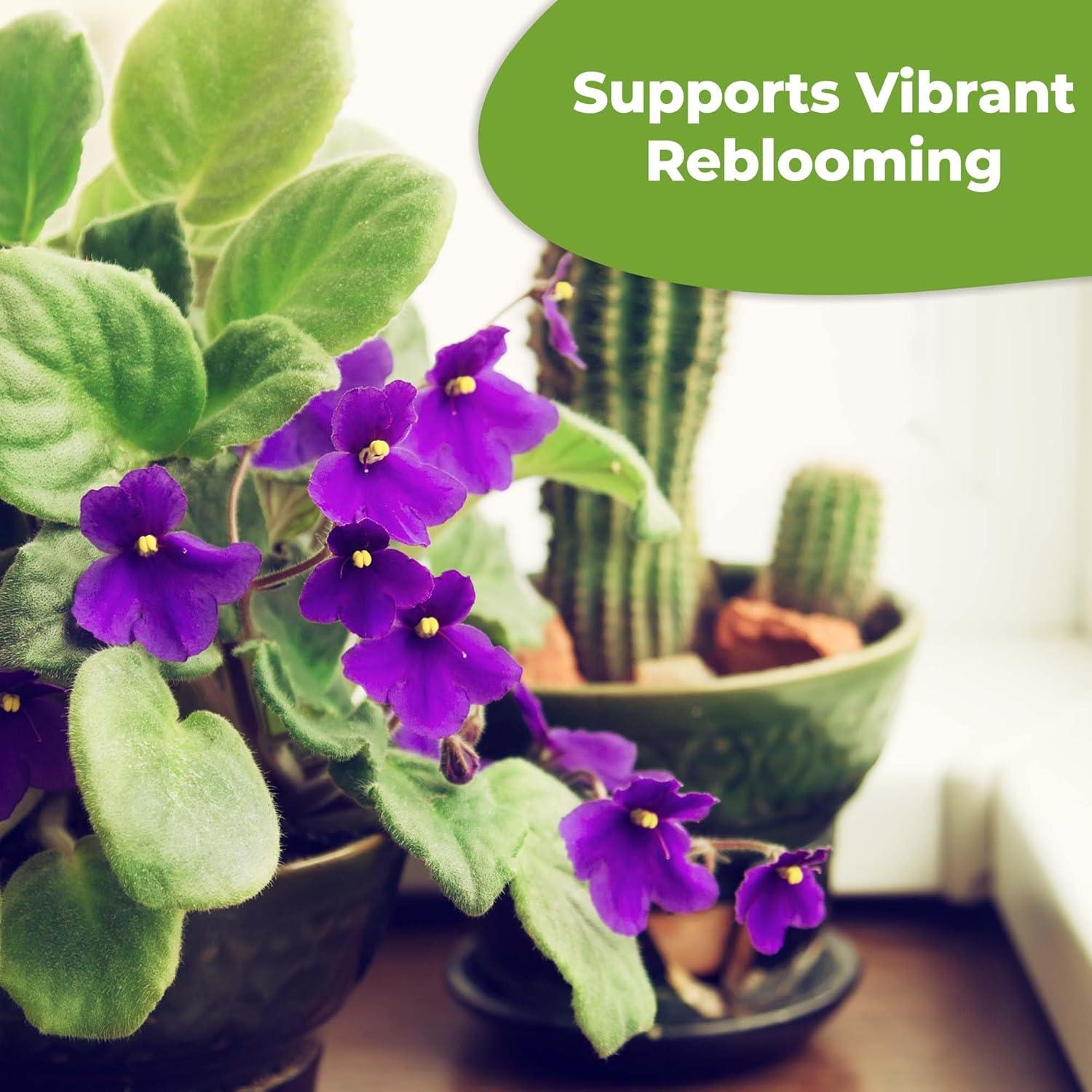 Fertilizante Líquido para Violeta Africana Perfect Plants 113g