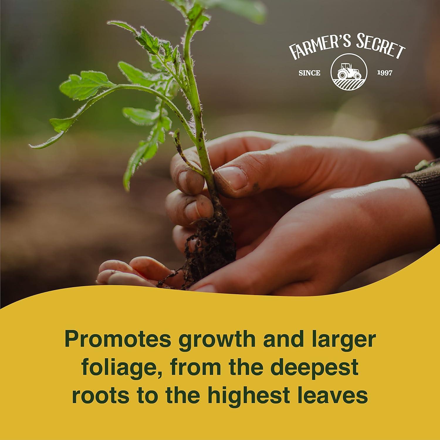 Aditivo para Plantas del Agricultor 0.95L - Alta en Fósforo