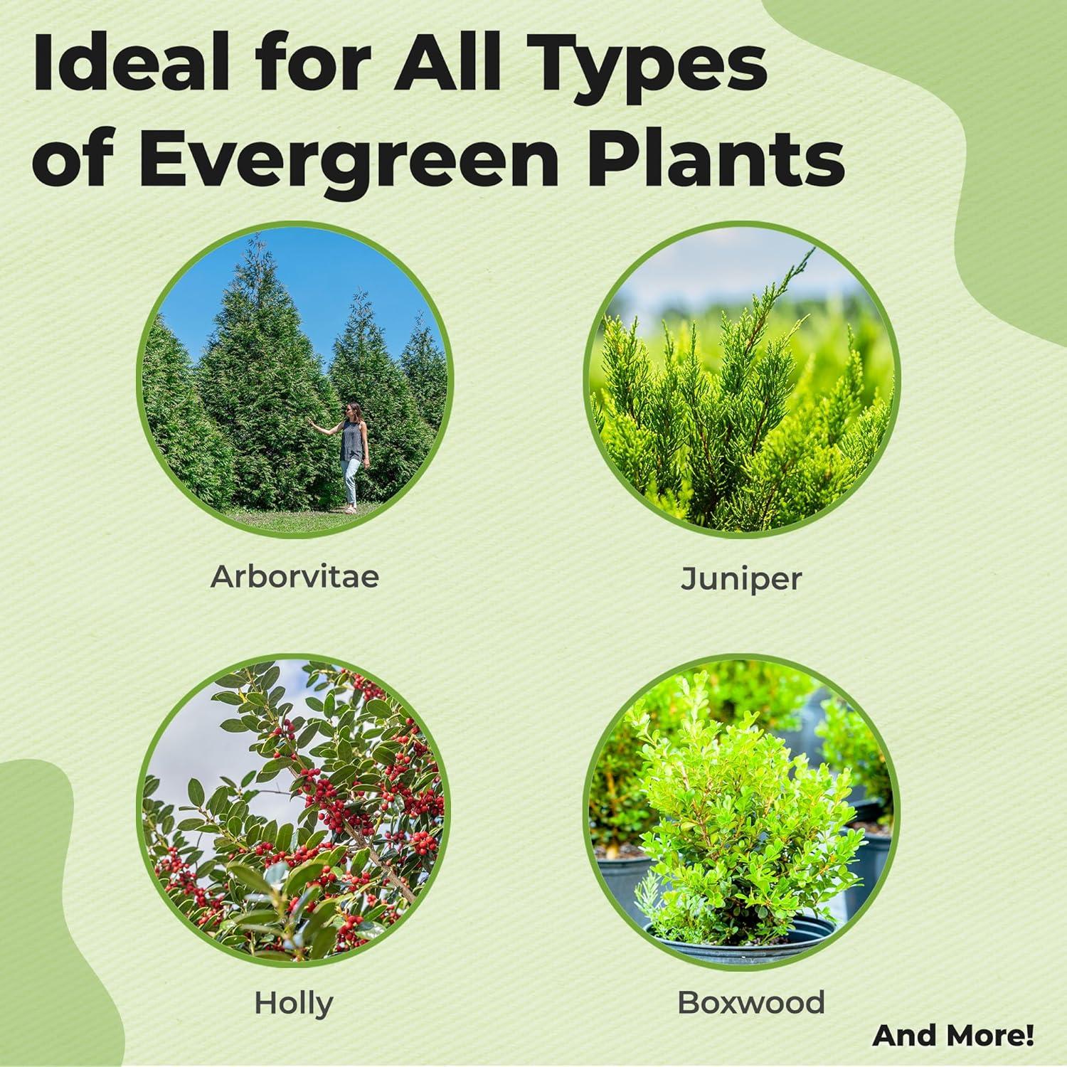 Fertilizante Granular Evergreen Perfect Plants 32oz para Árboles