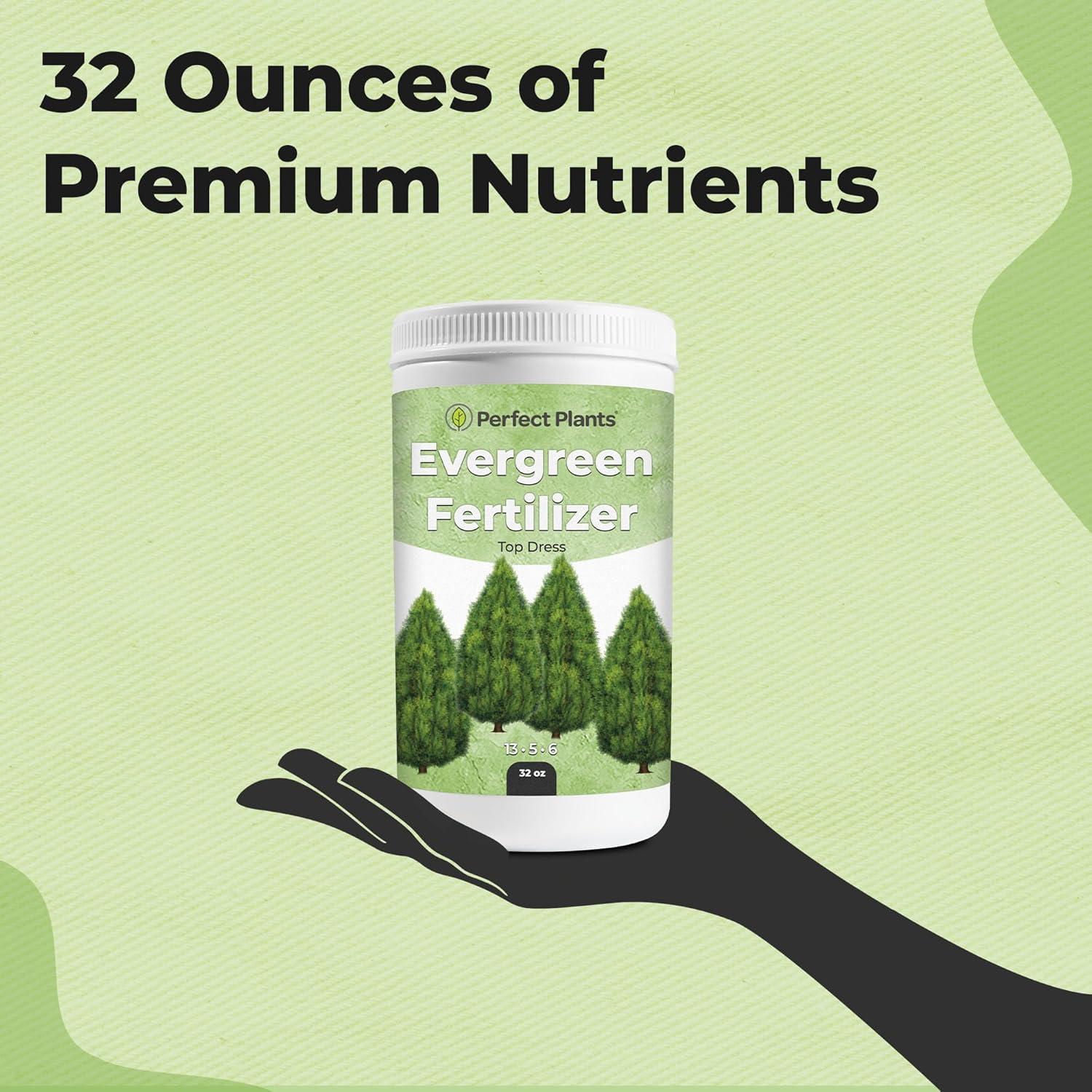 Fertilizante Granular Evergreen Perfect Plants 32oz para Árboles