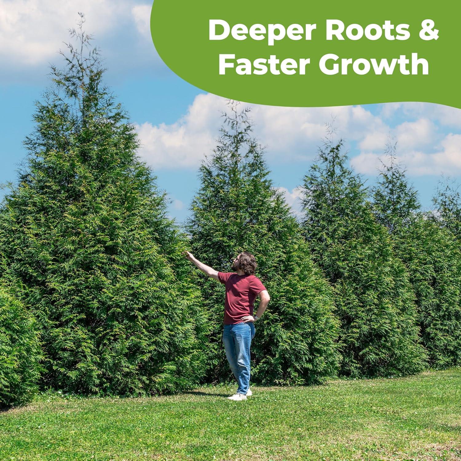 Fertilizante Granular Evergreen Perfect Plants 32oz para Árboles