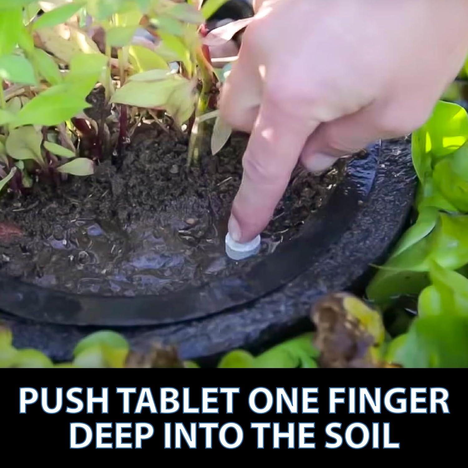 Fertilizante para Plantas Acuáticas CrystalClear Thrive 200 Tabletas