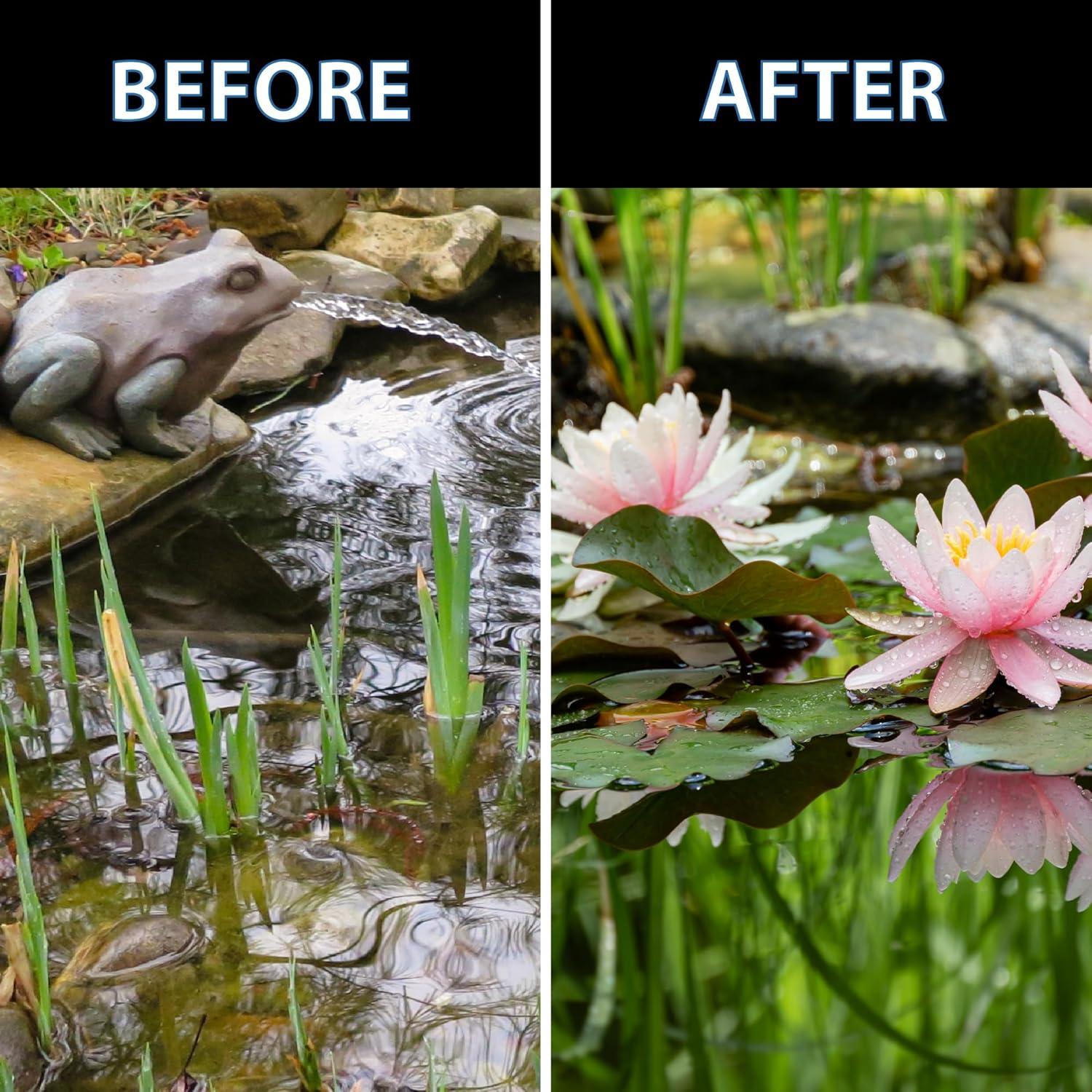 Fertilizante para Plantas Acuáticas CrystalClear Thrive 200 Tabletas