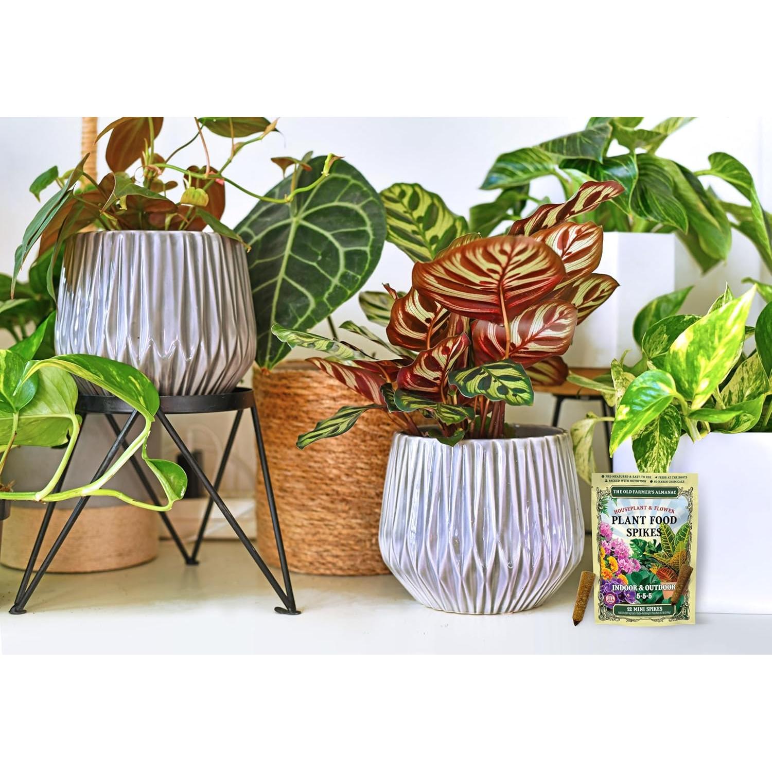 Alimento para Plantas de Interior y Flores Mini Picos NPK 5-5-5 - 72 Unidades