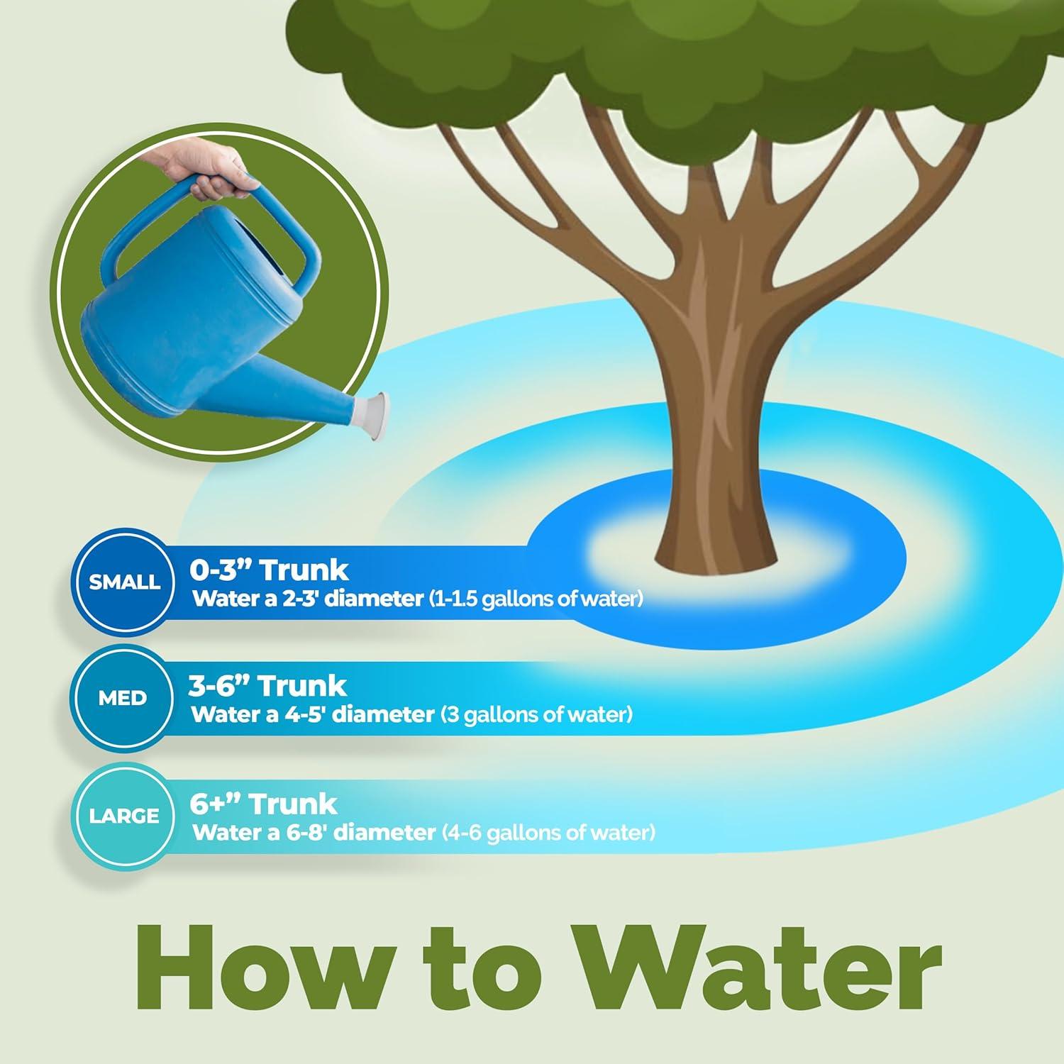 Fertilizante Líquido para Árboles de Mango TPS Nutrients 0.95L