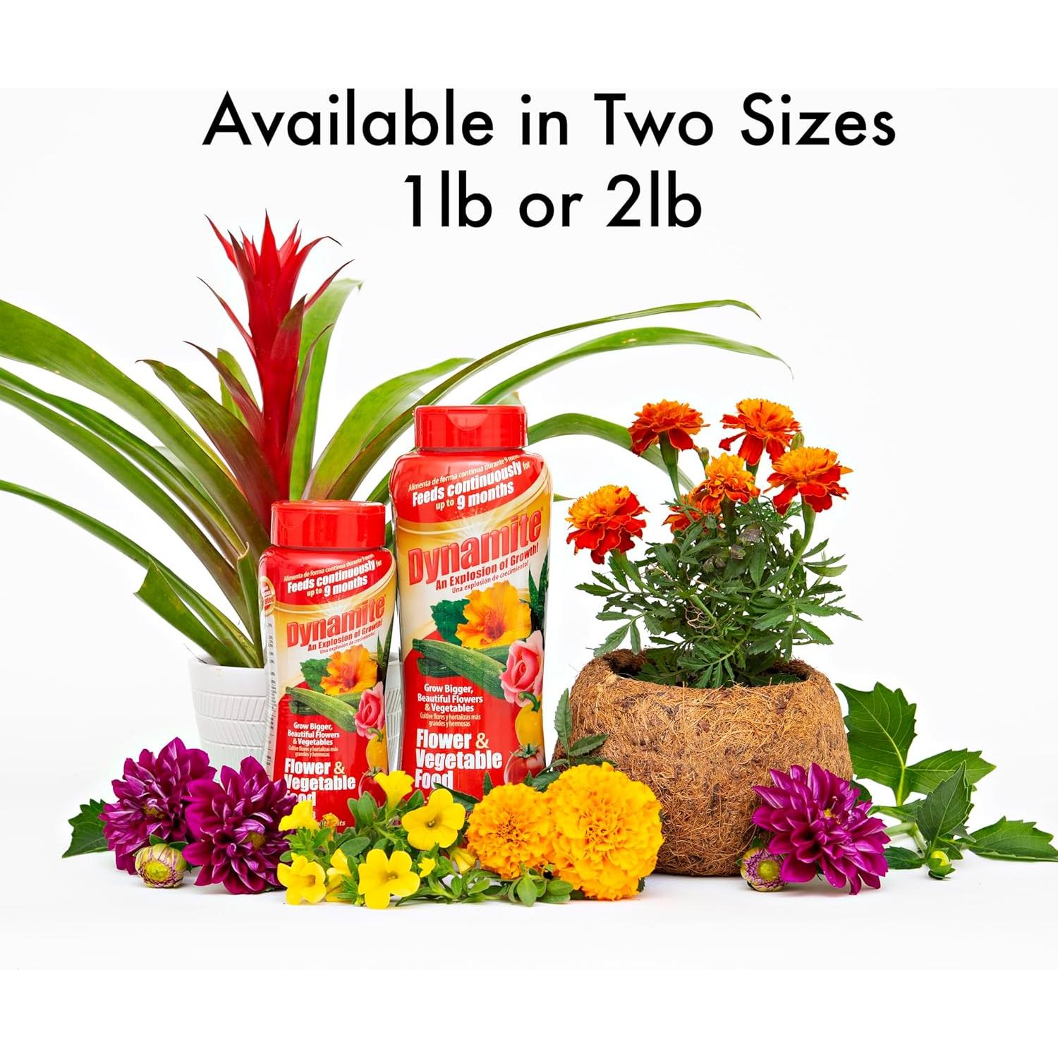 Fertilizante para Plantas Dynamite 0.45 kg - Flores y Verduras