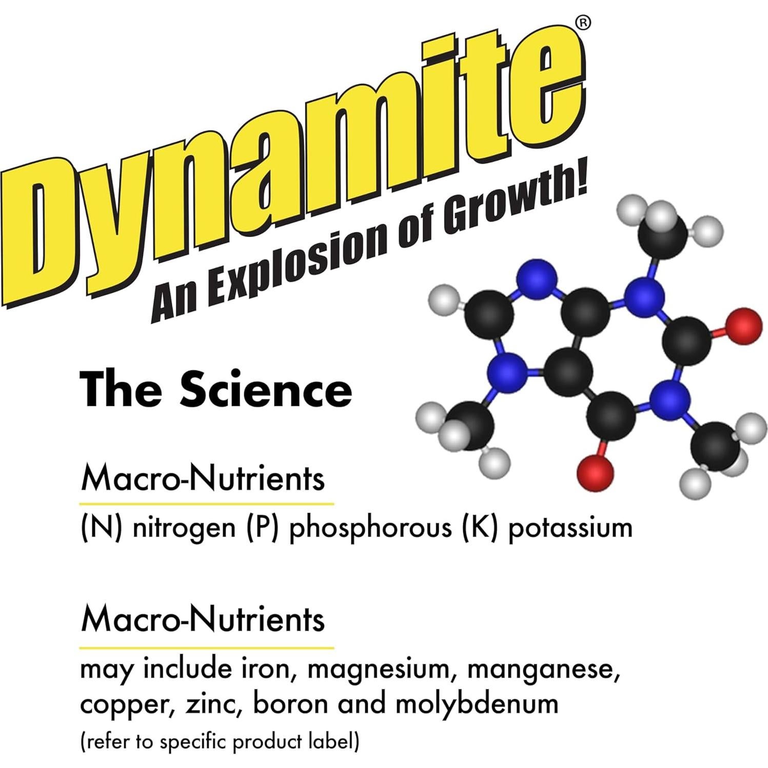 Fertilizante para Plantas Dynamite 0.45 kg - Flores y Verduras