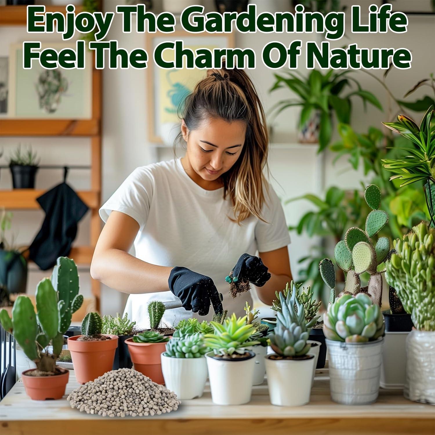 Fertilizante Orgánico de Liberación Lenta 330g LZH para Plantas