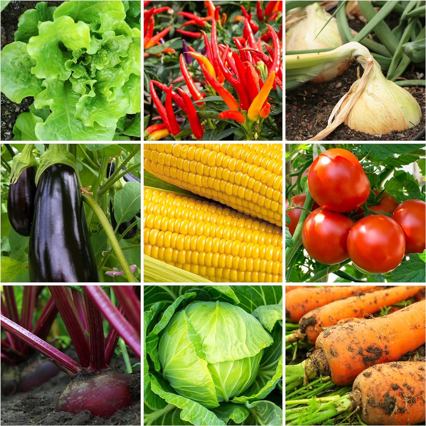 Fertilizante Orgánico para Tomates y Verduras OFA-TV848 1.06kg