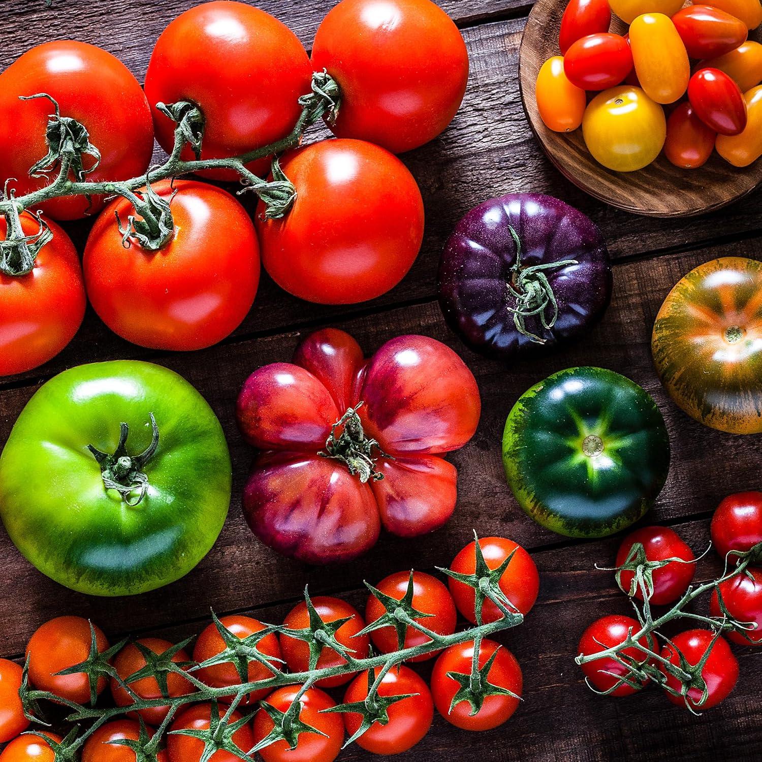 Fertilizante Orgánico para Tomates y Verduras OFA-TV848 1.06kg