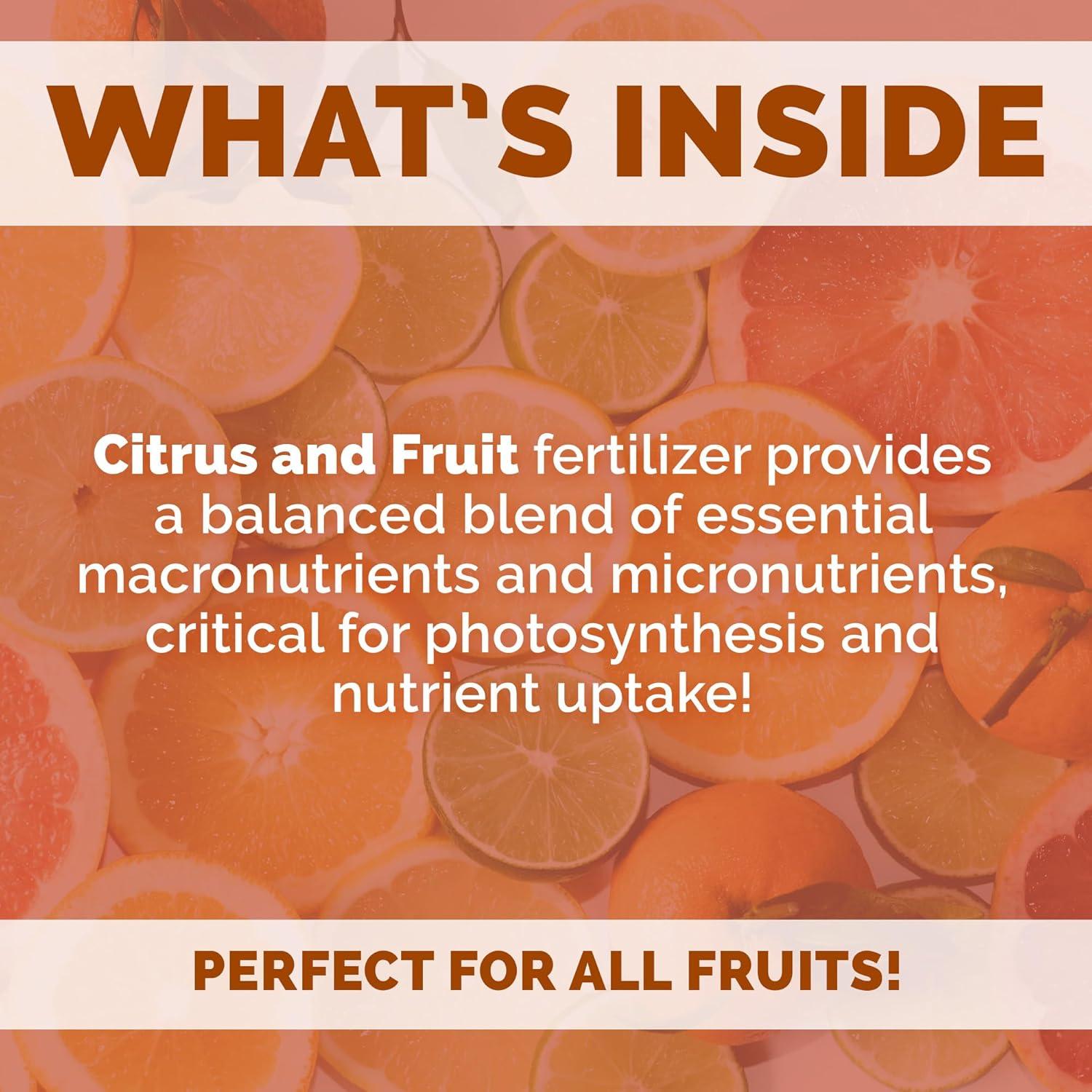 Fertilizante Orgánico Bloom City para Árboles Frutales 0.95 L