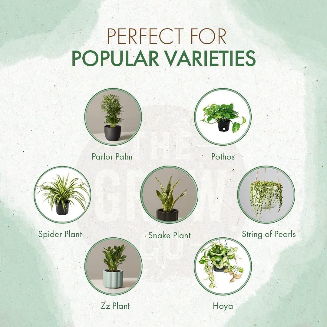 Fertilizante Granulado para Plantas de Interior The Grow Co 142g