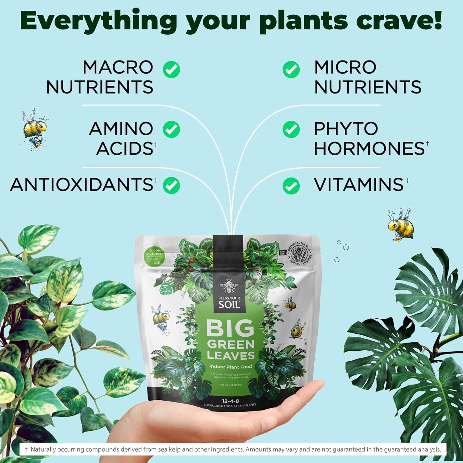 Fertilizante para Plantas de Interior Big Green Leaves 0.45 kg