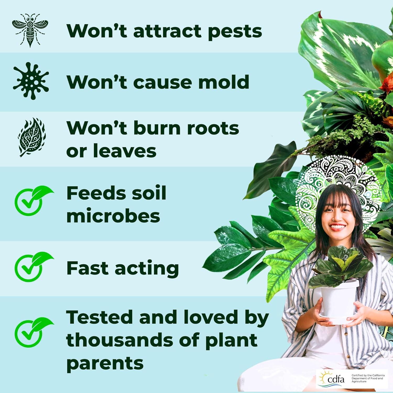 Fertilizante para Plantas de Interior Big Green Leaves 0.45 kg