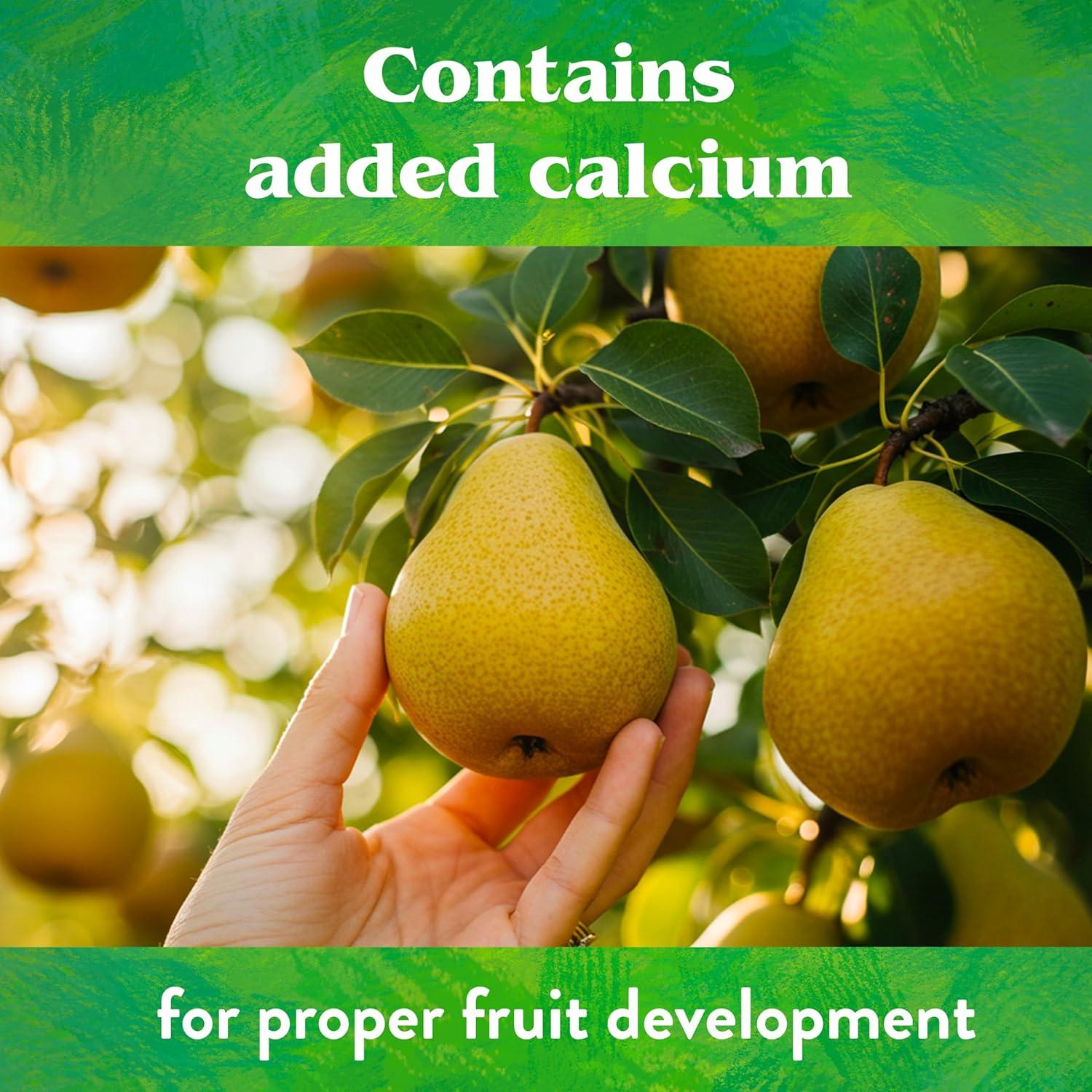 Fertilizante Orgánico Down To Earth para Árboles Frutales 6-2-4, 2.27kg