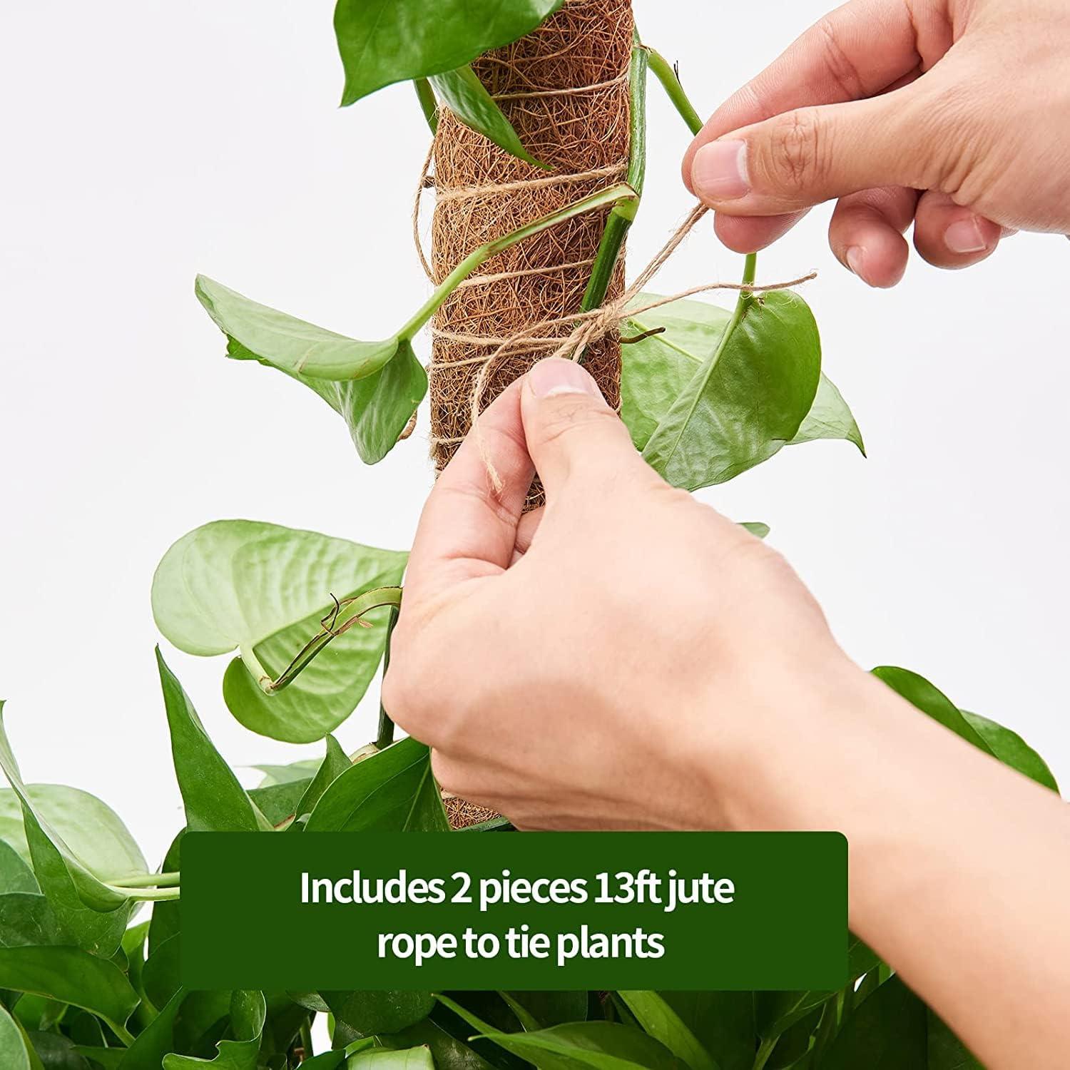 Postes de Musgo para Plantas Eibikdi - 8 Piezas 43.18cm