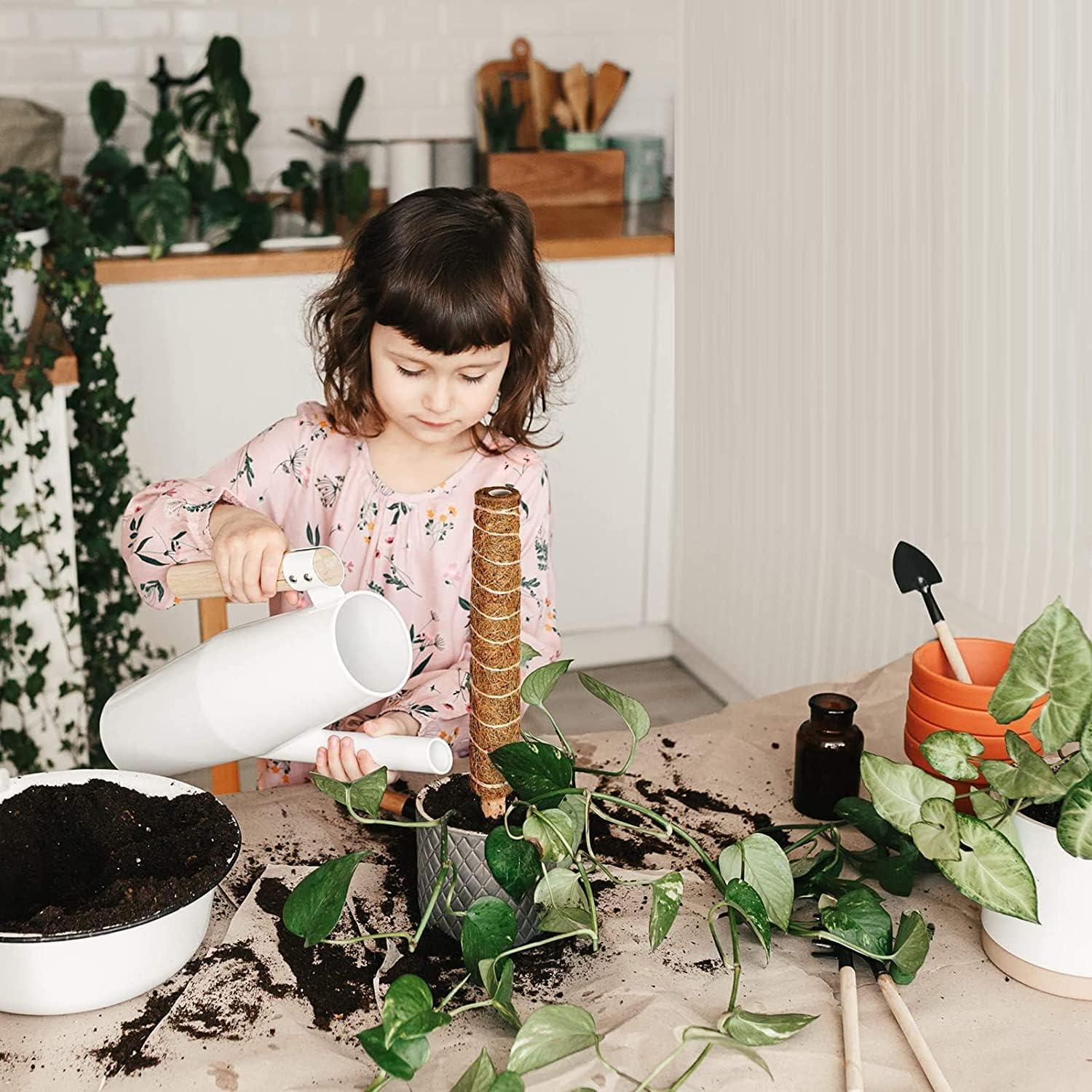 Postes de Musgo para Plantas Eibikdi - 8 Piezas 43.18cm