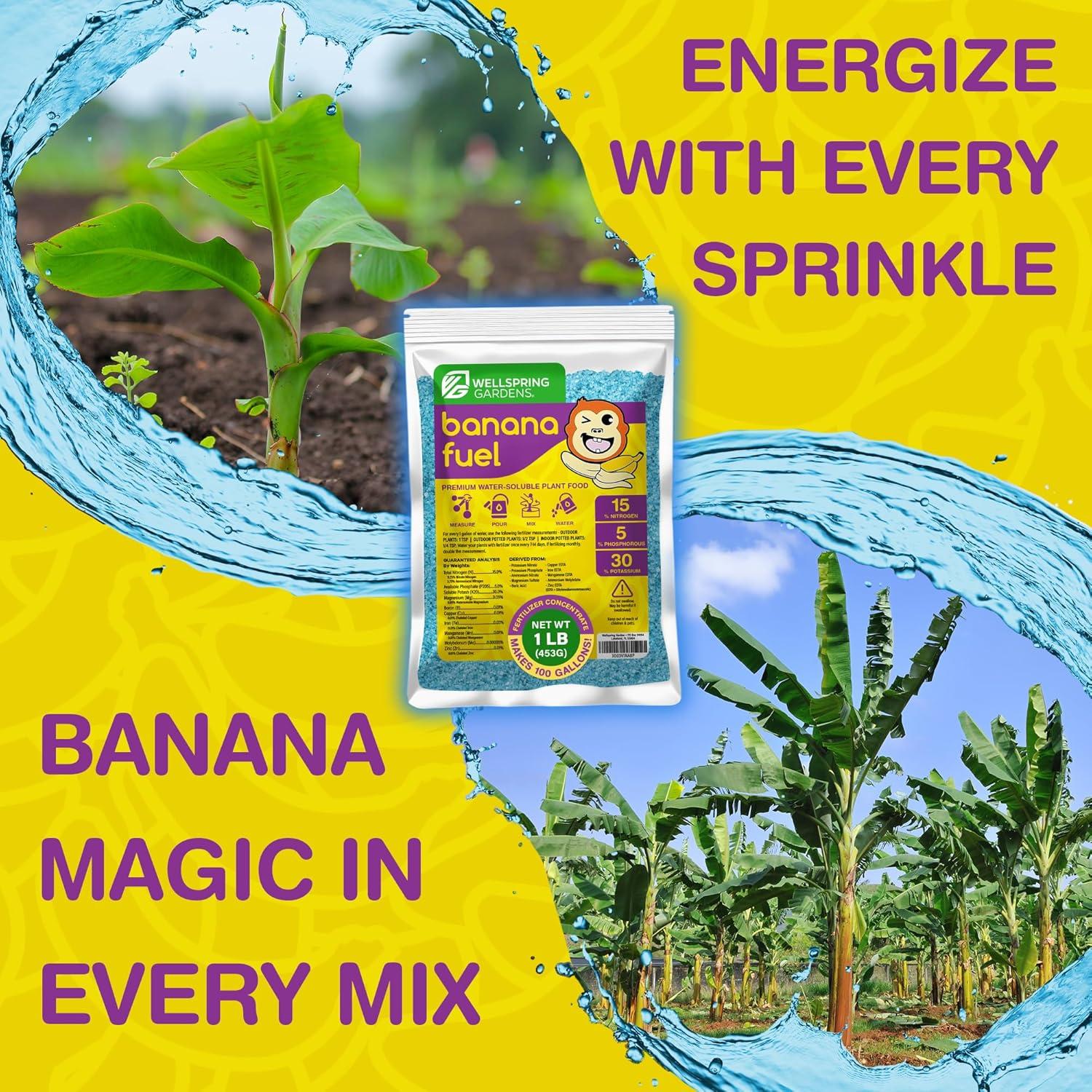 Fertilizante Soluble en Agua Wellspring Gardens 15-5-30 0.45kg