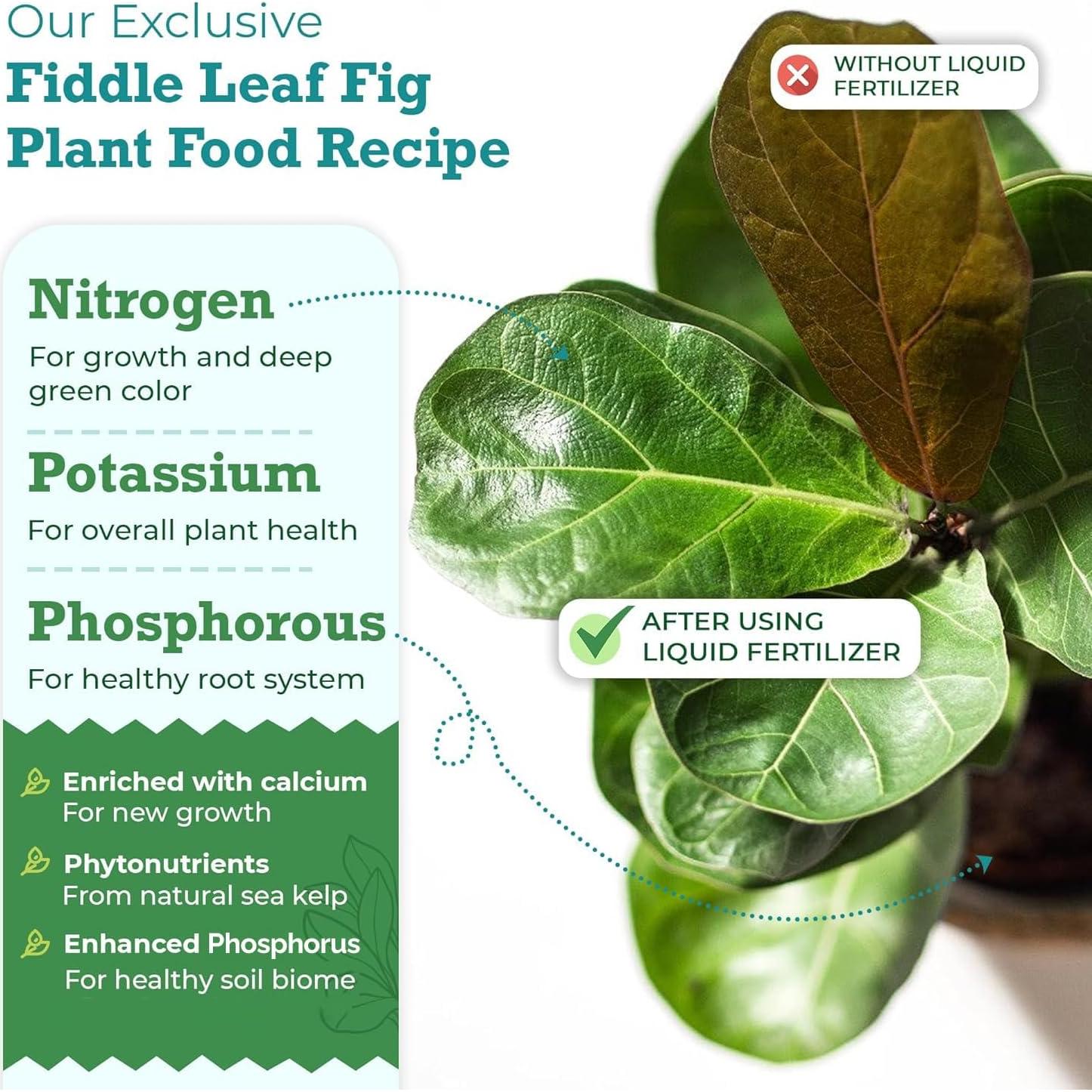 Fertilizante Líquido Fiddle Leaf Fig 226.8ml - Sin Urea NPK 3-1-2