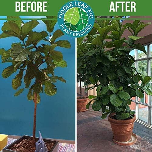 Fertilizante Líquido Fiddle Leaf Fig 226.8ml - Sin Urea NPK 3-1-2