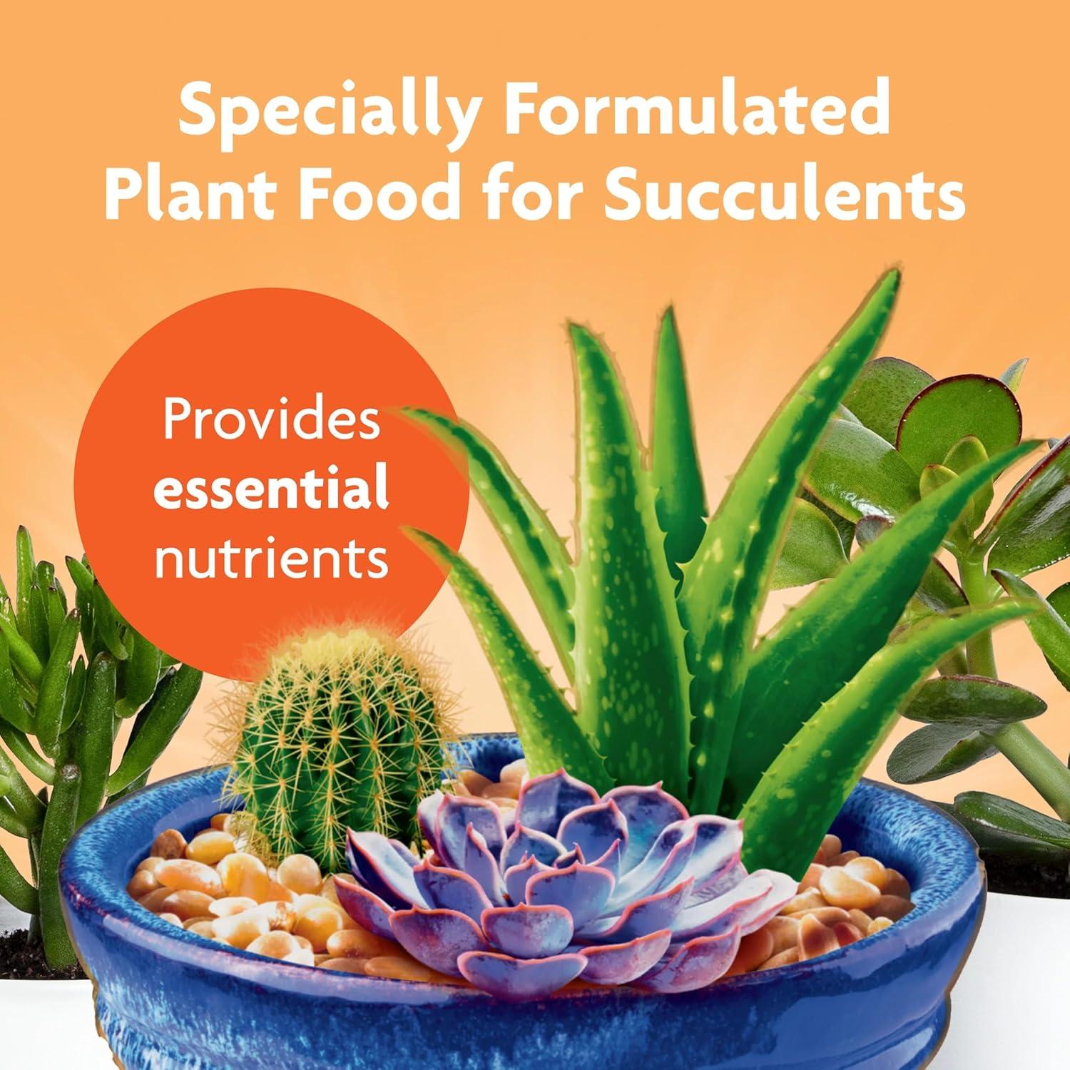 Alimento para Plantas Suculentas Miracle-Gro 227 g - Cactus, Jade, Aloe