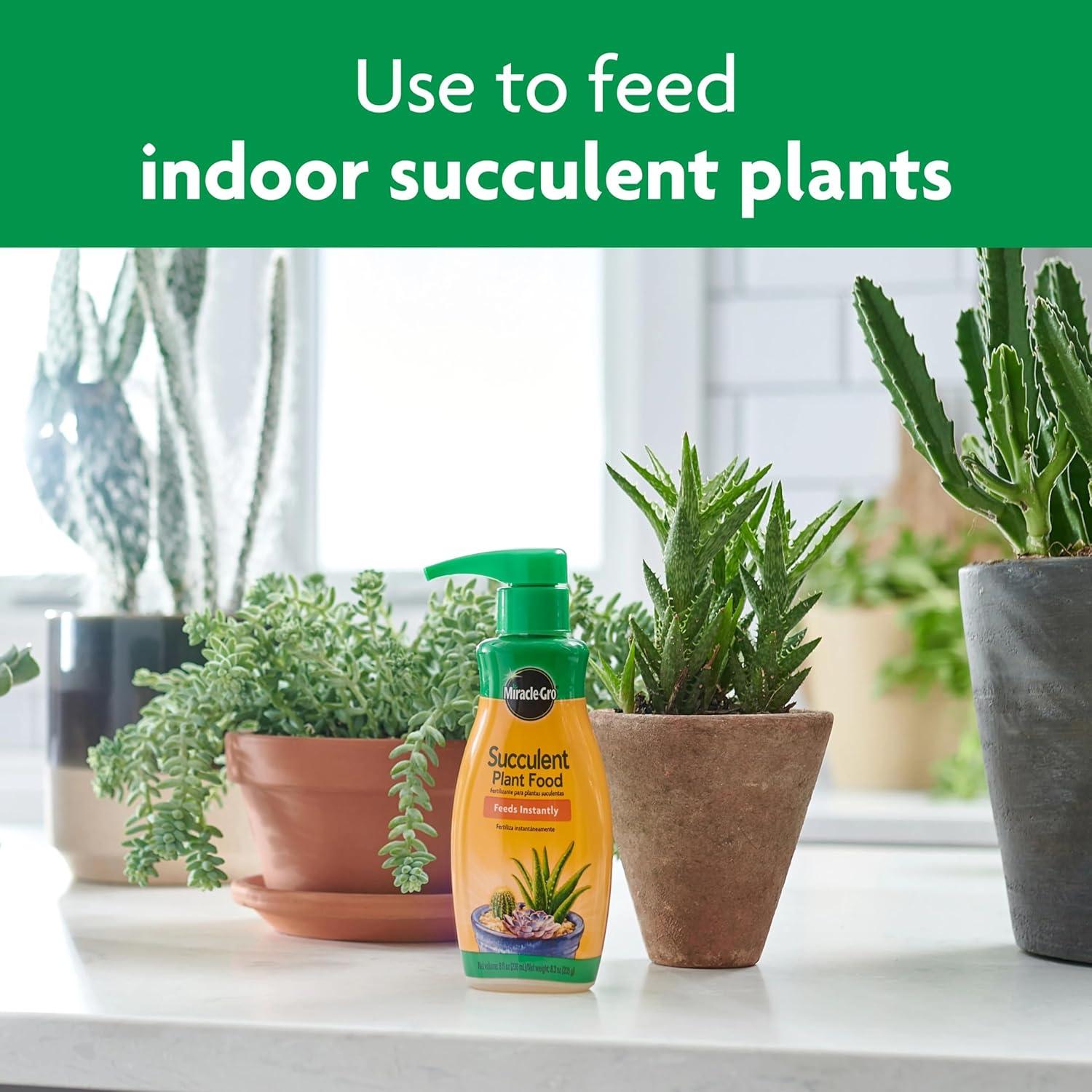Alimento para Plantas Suculentas Miracle-Gro 227 g - Cactus, Jade, Aloe