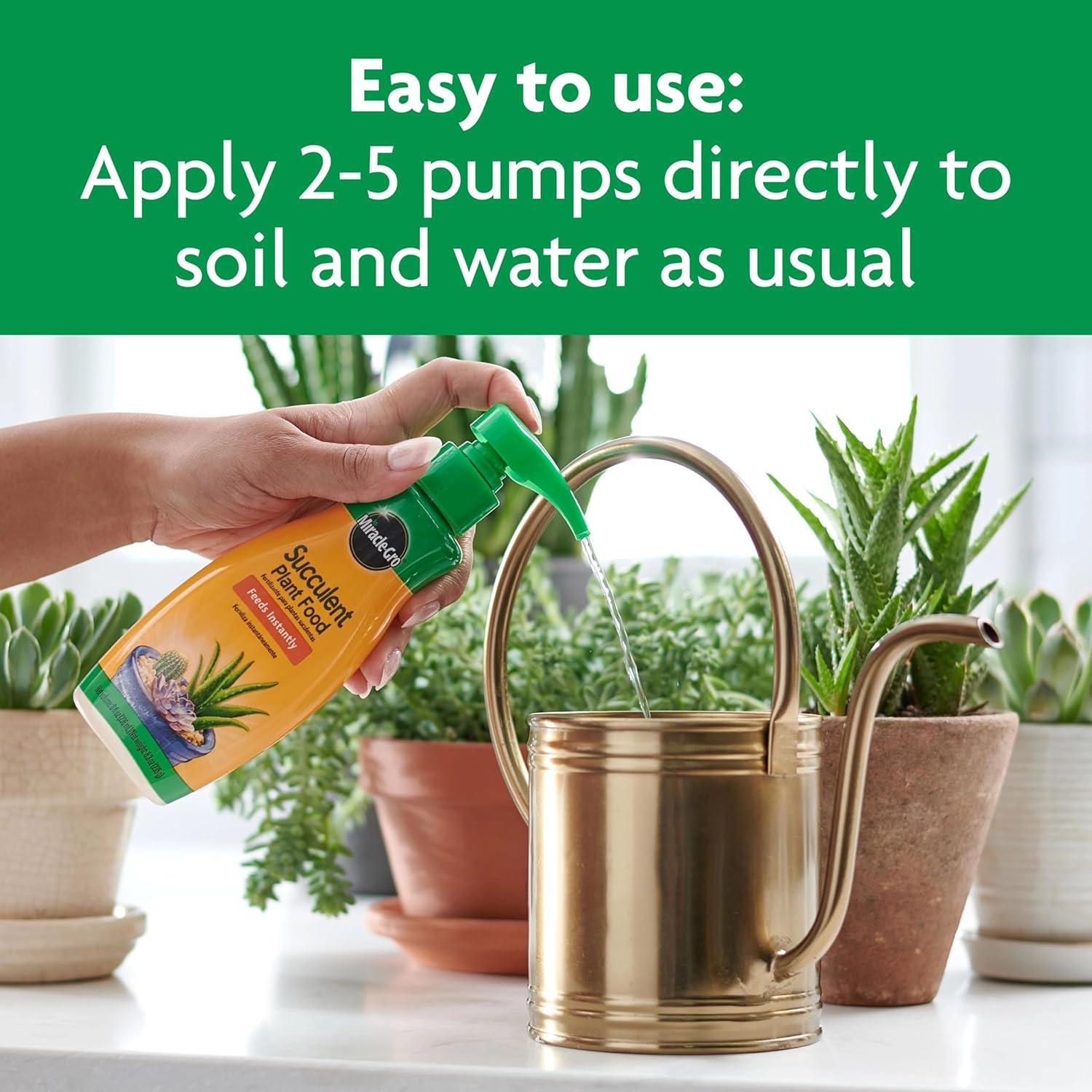 Alimento para Plantas Suculentas Miracle-Gro 227 g - Cactus, Jade, Aloe