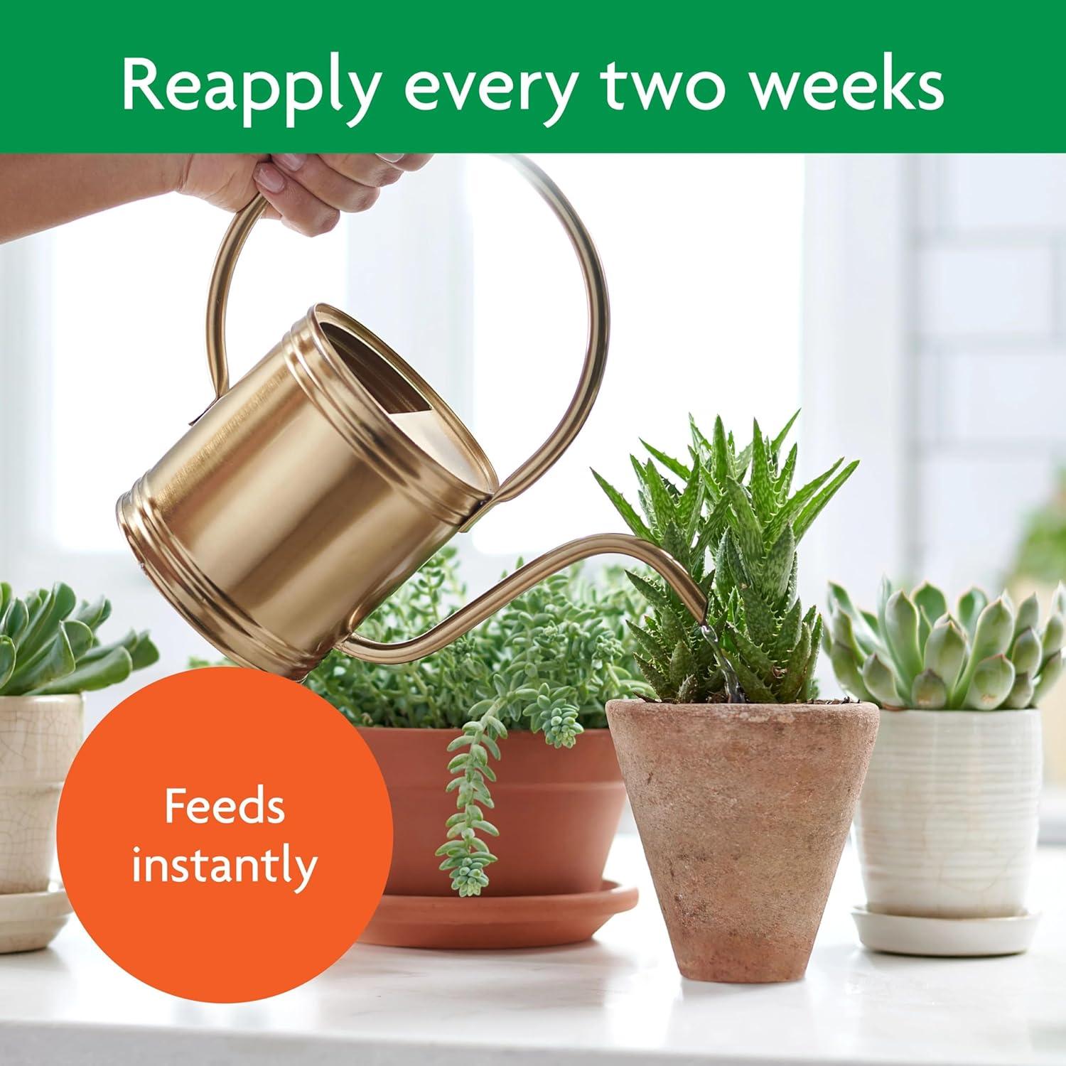 Alimento para Plantas Suculentas Miracle-Gro 227 g - Cactus, Jade, Aloe