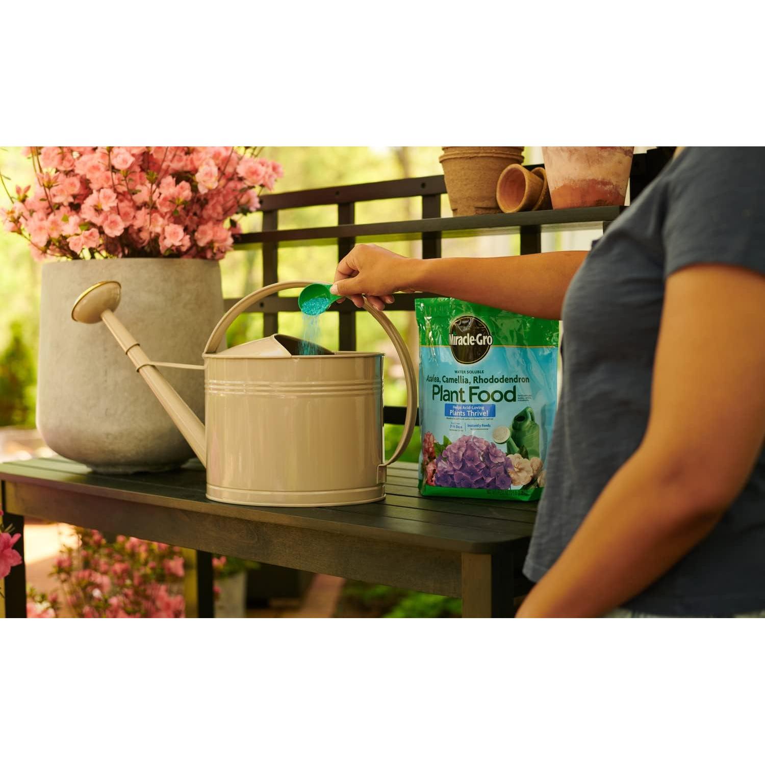 Fertilizante Miracle-Gro para Azaleas y Rododendros 2.27 kg
