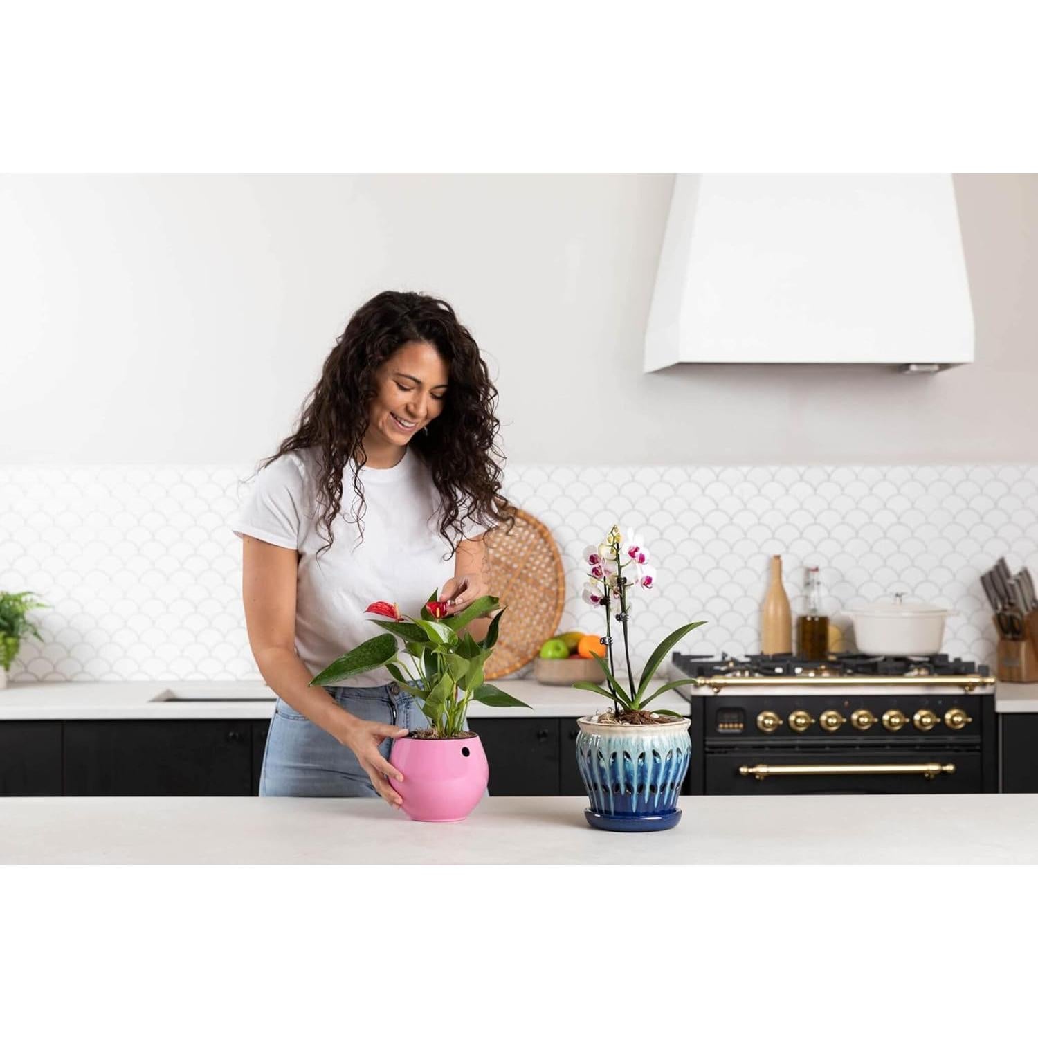 Fertilizante de Liberación Lenta rePotme 227g para Plantas