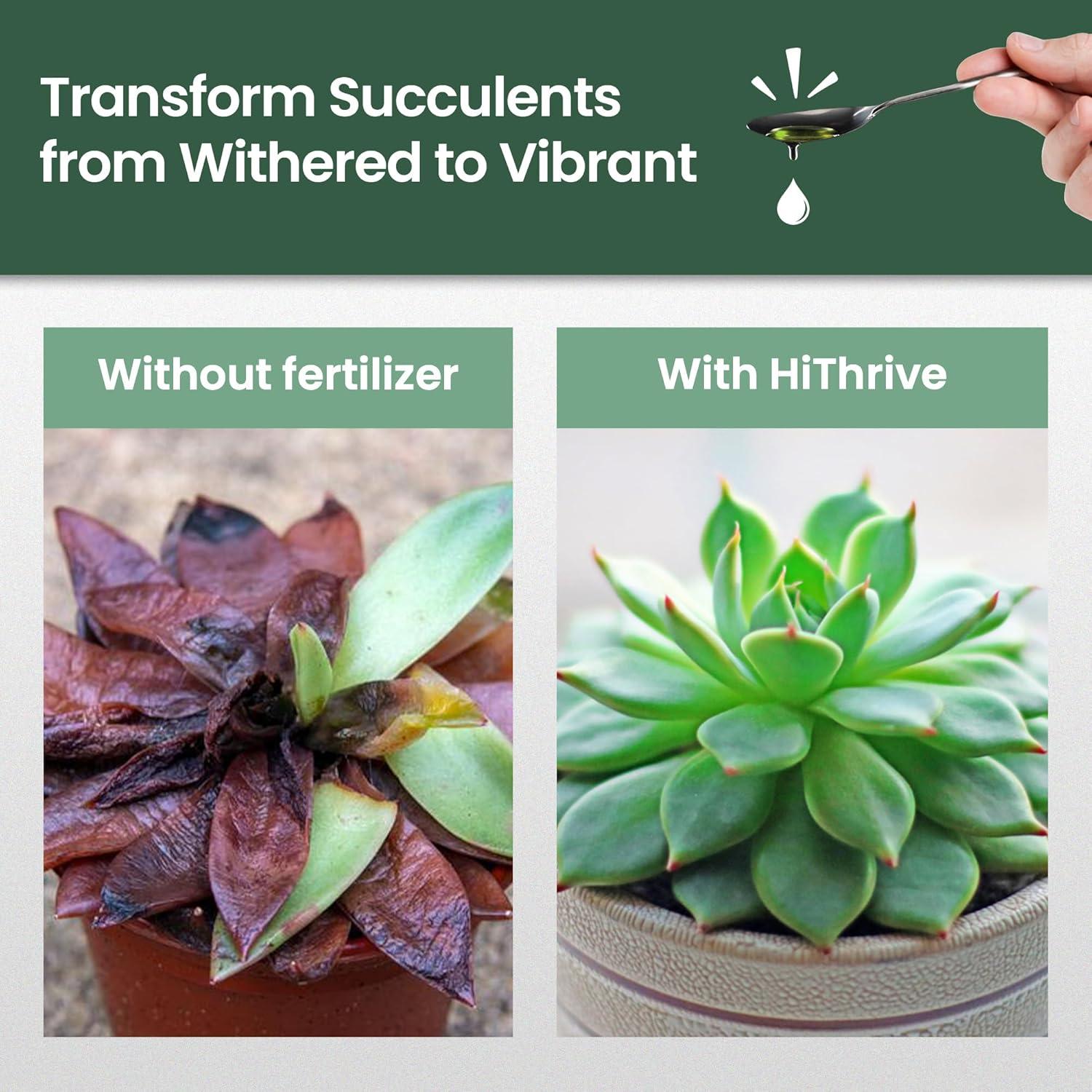 Fertilizante Líquido para Suculentas HiThrive 0.47L - Crecimiento Abundante