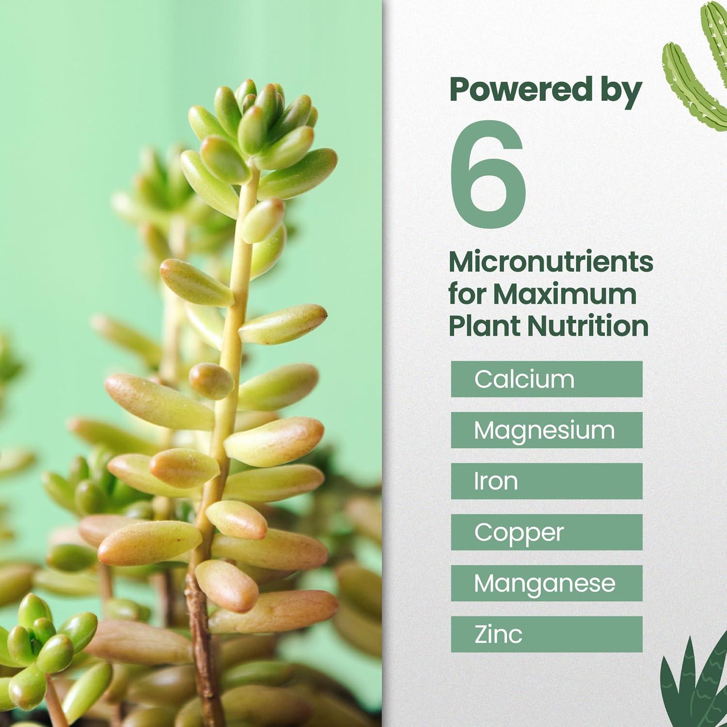Fertilizante Líquido para Suculentas HiThrive 0.47L - Crecimiento Abundante