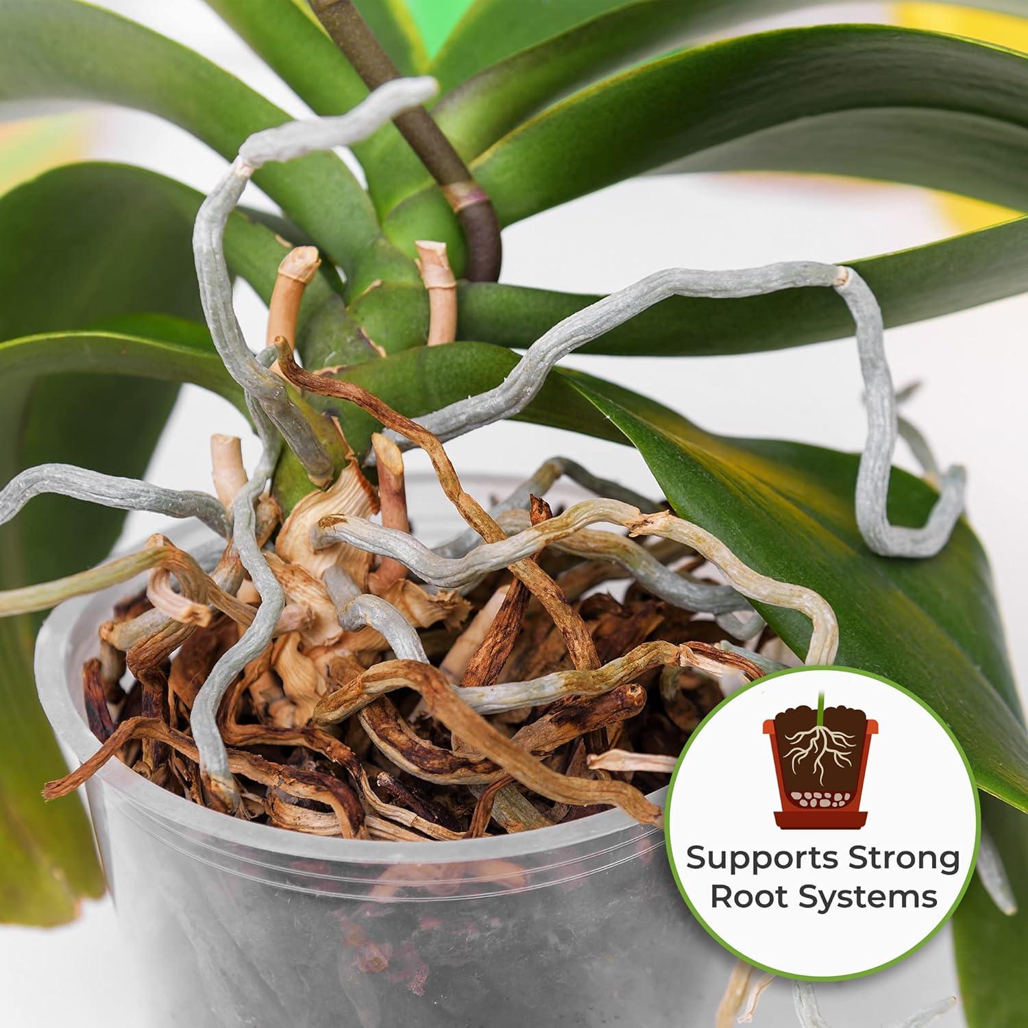 Fertilizante Líquido para Orquídeas Perfect Plants 236ml - Alimento NPK