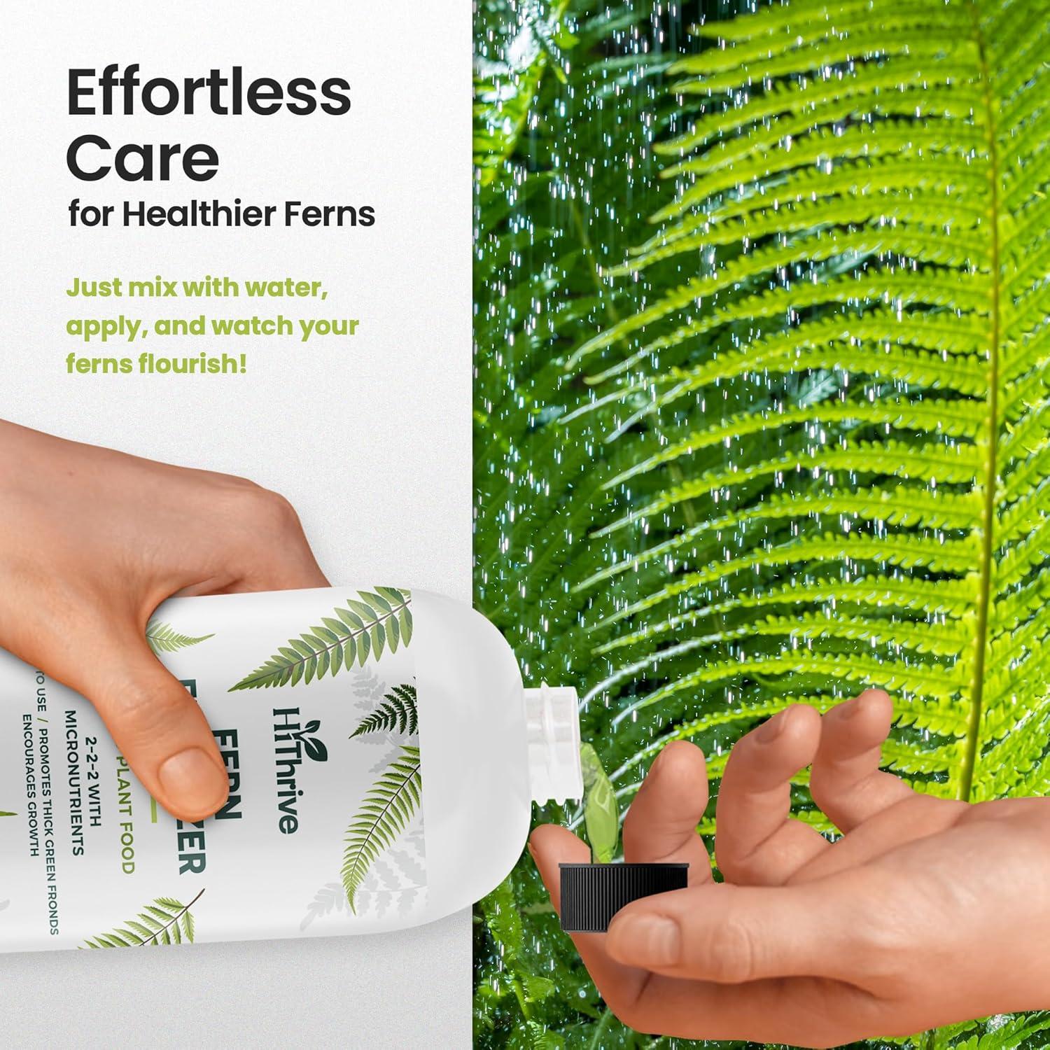Fertilizante para Helechos HiThrive 16 oz - Crecimiento Verde