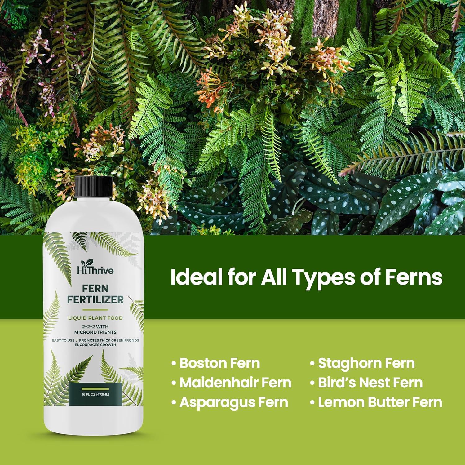 Fertilizante para Helechos HiThrive 16 oz - Crecimiento Verde