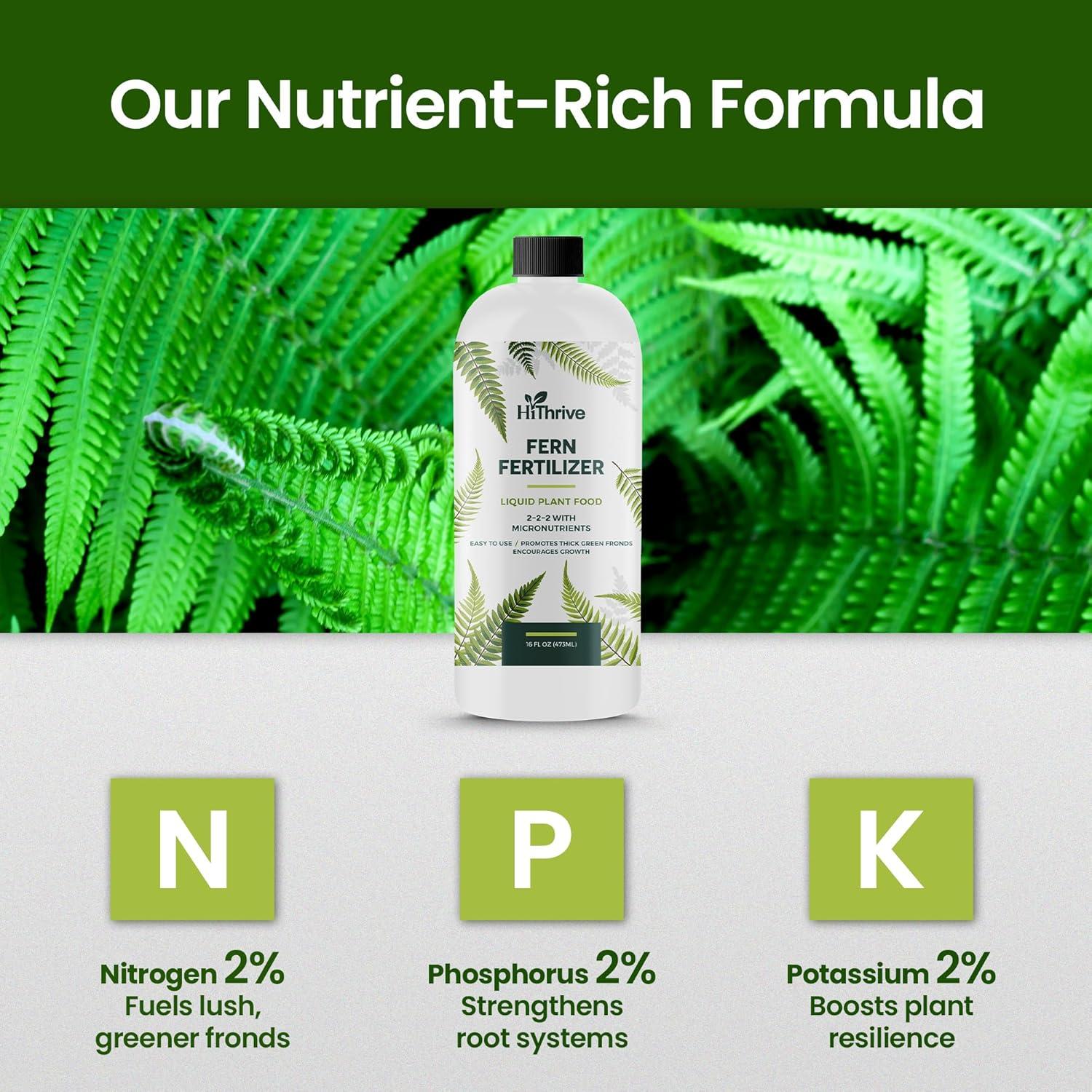 Fertilizante para Helechos HiThrive 16 oz - Crecimiento Verde