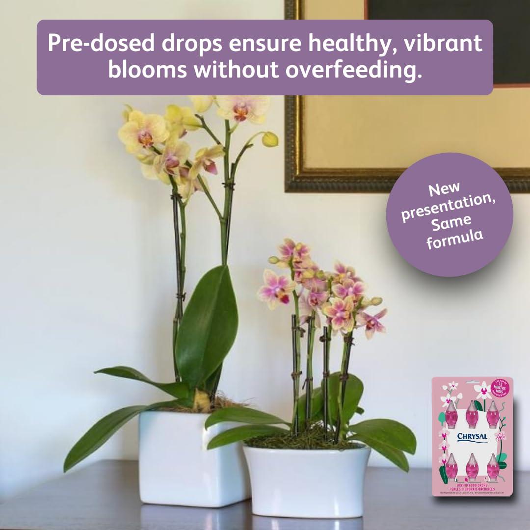Gotas de Alimento para Orquídeas Chrysal - 1 Paquete 12 Meses