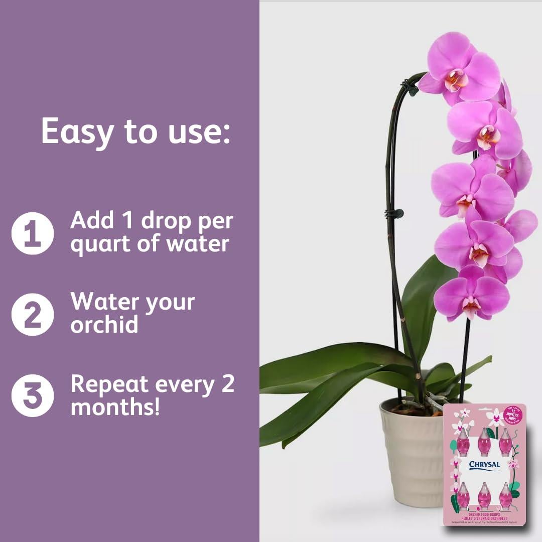 Gotas de Alimento para Orquídeas Chrysal - 1 Paquete 12 Meses