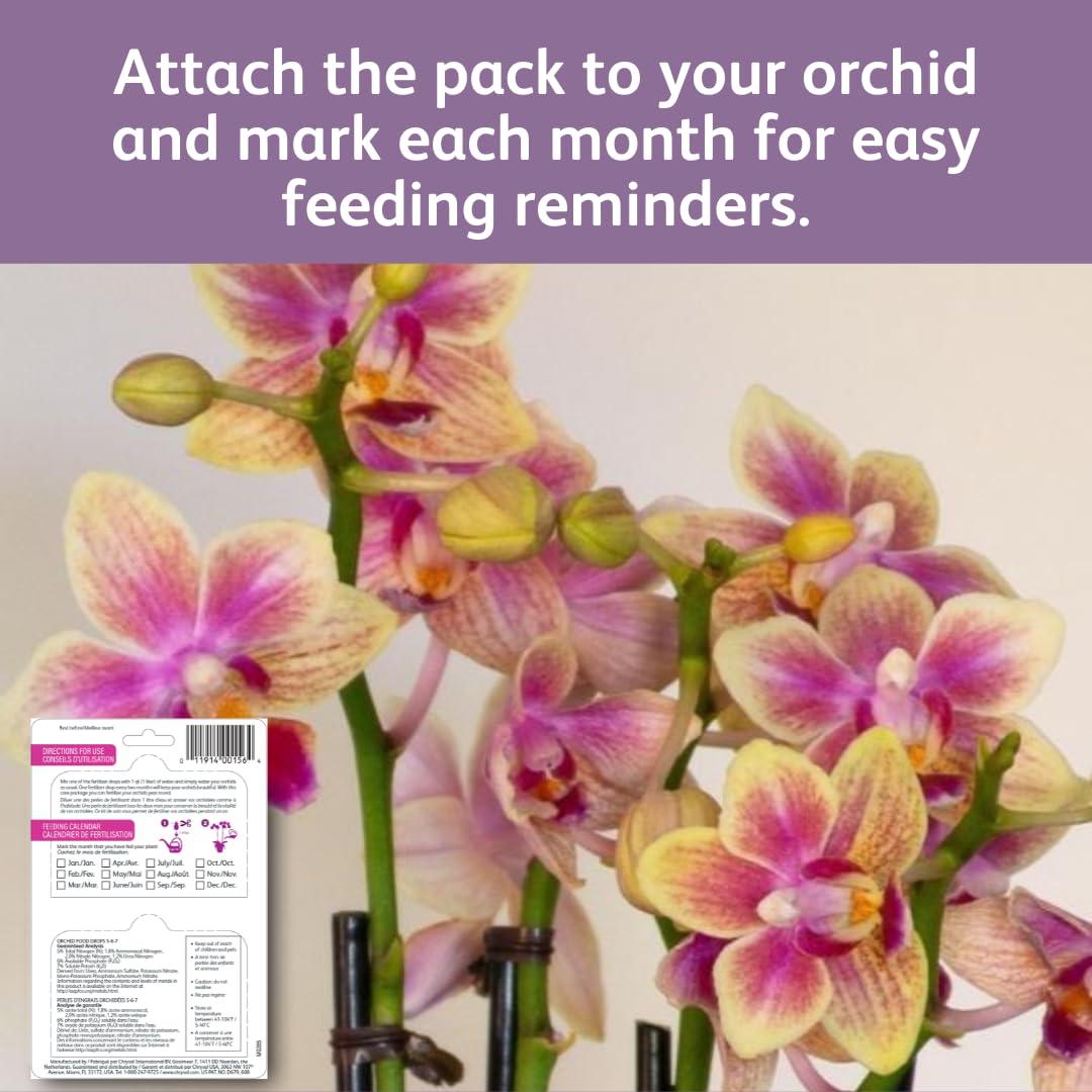 Gotas de Alimento para Orquídeas Chrysal - 1 Paquete 12 Meses