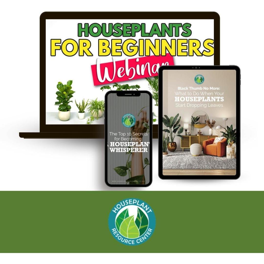 Fertilizante Líquido Orgánico Houseplant 255 g para Plantas de Interior