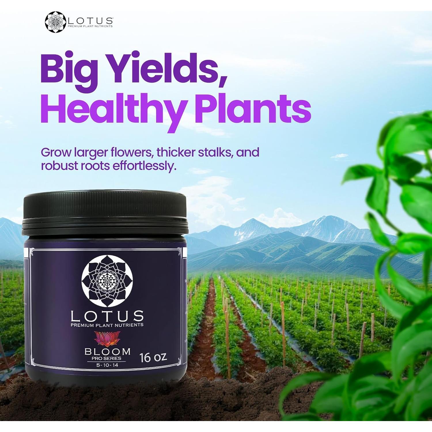 Nutrientes Hidropónicos Lotus 453.6g - Fertilizante para Floración