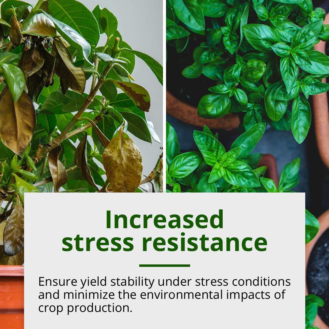 Fertilizante Líquido Humboldts Secret Tree Trunk 0.95L