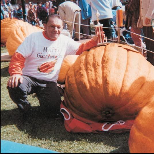 Fertilizante Granular Rootblast 340g - Crecimiento Rápido