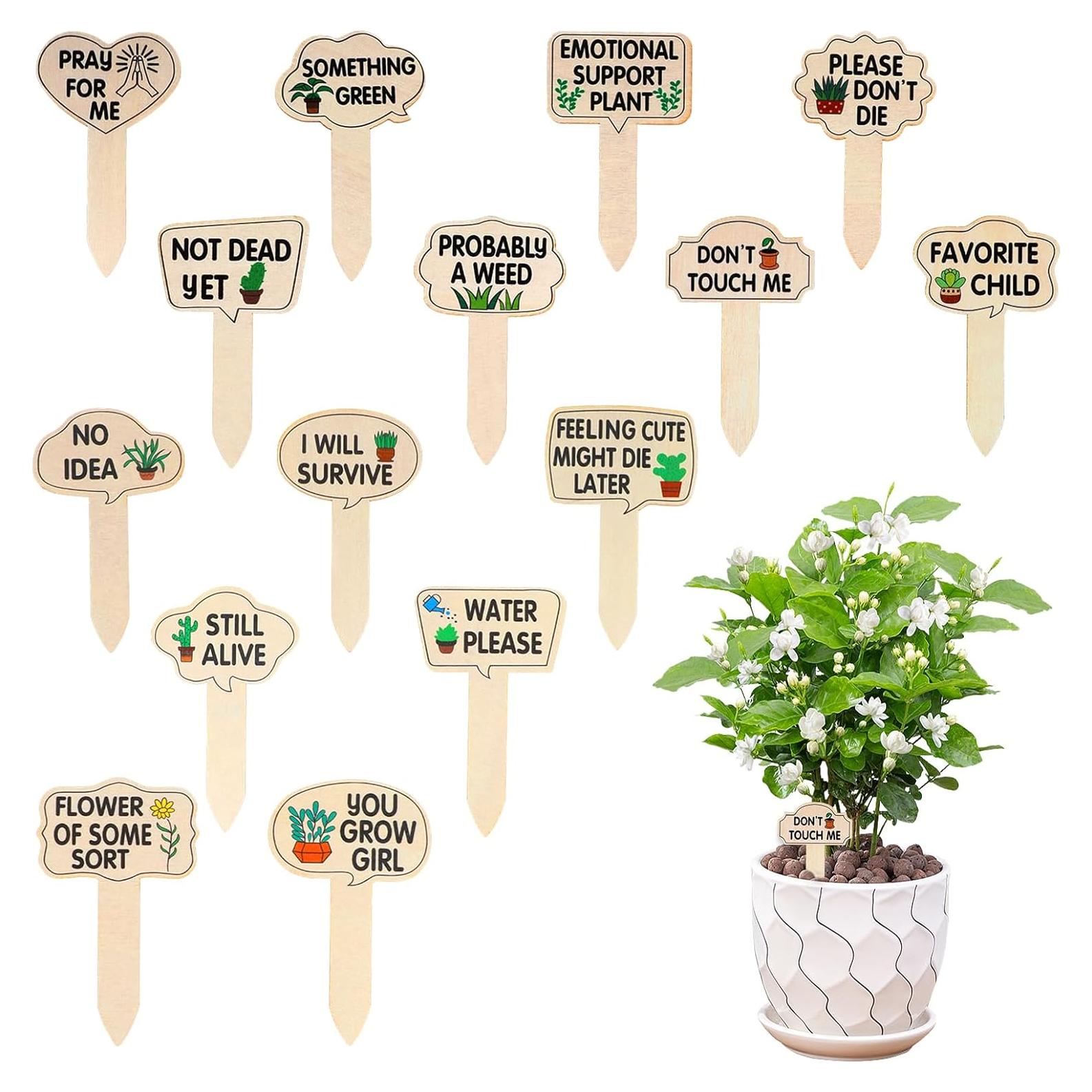 15 Etiquetas de Madera para Plantas Ouligay Impermeables