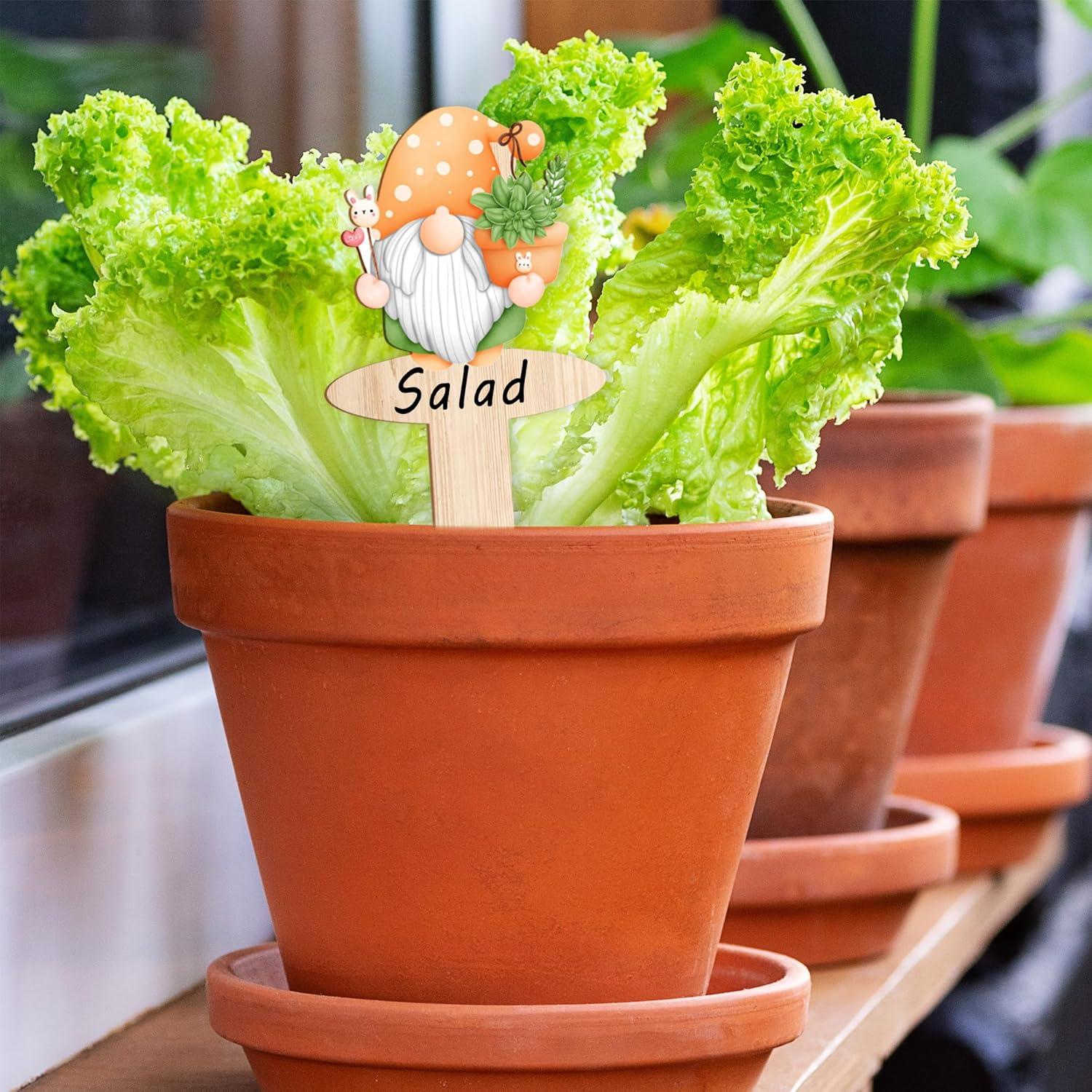 20 Etiquetas de Jardín de Madera JuGeoZhi con Gnomos