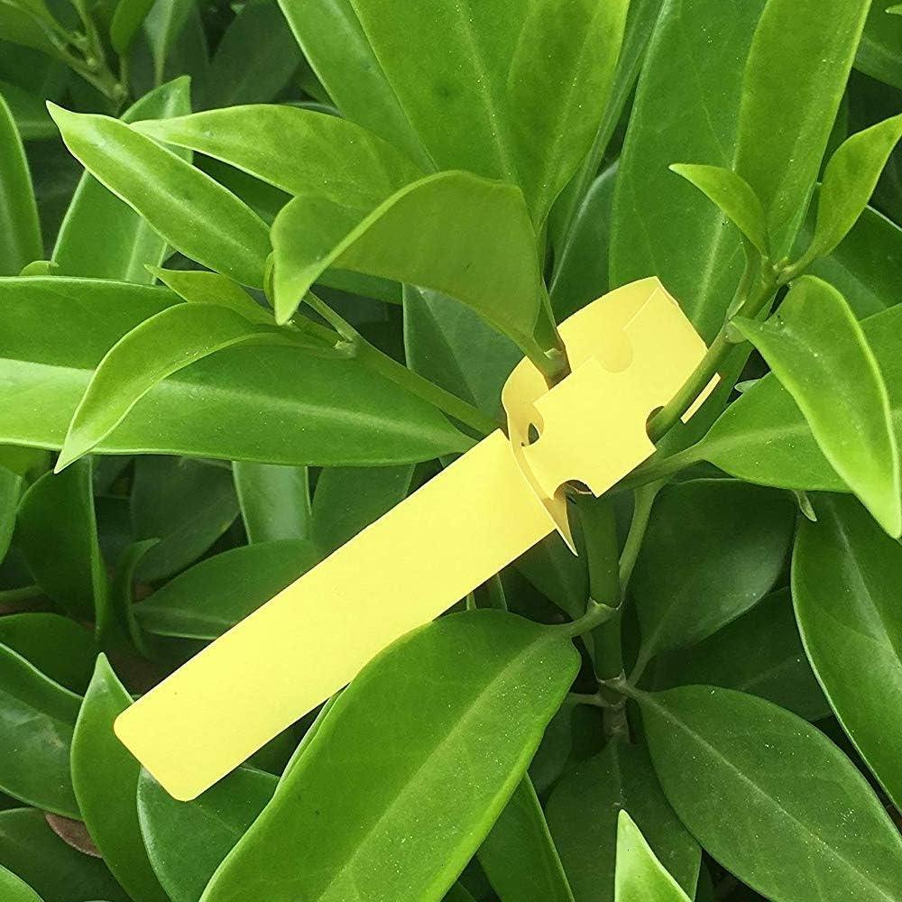 Etiquetas Plásticas para Plantas Mziart 120 Pcs Multicolor 20cm