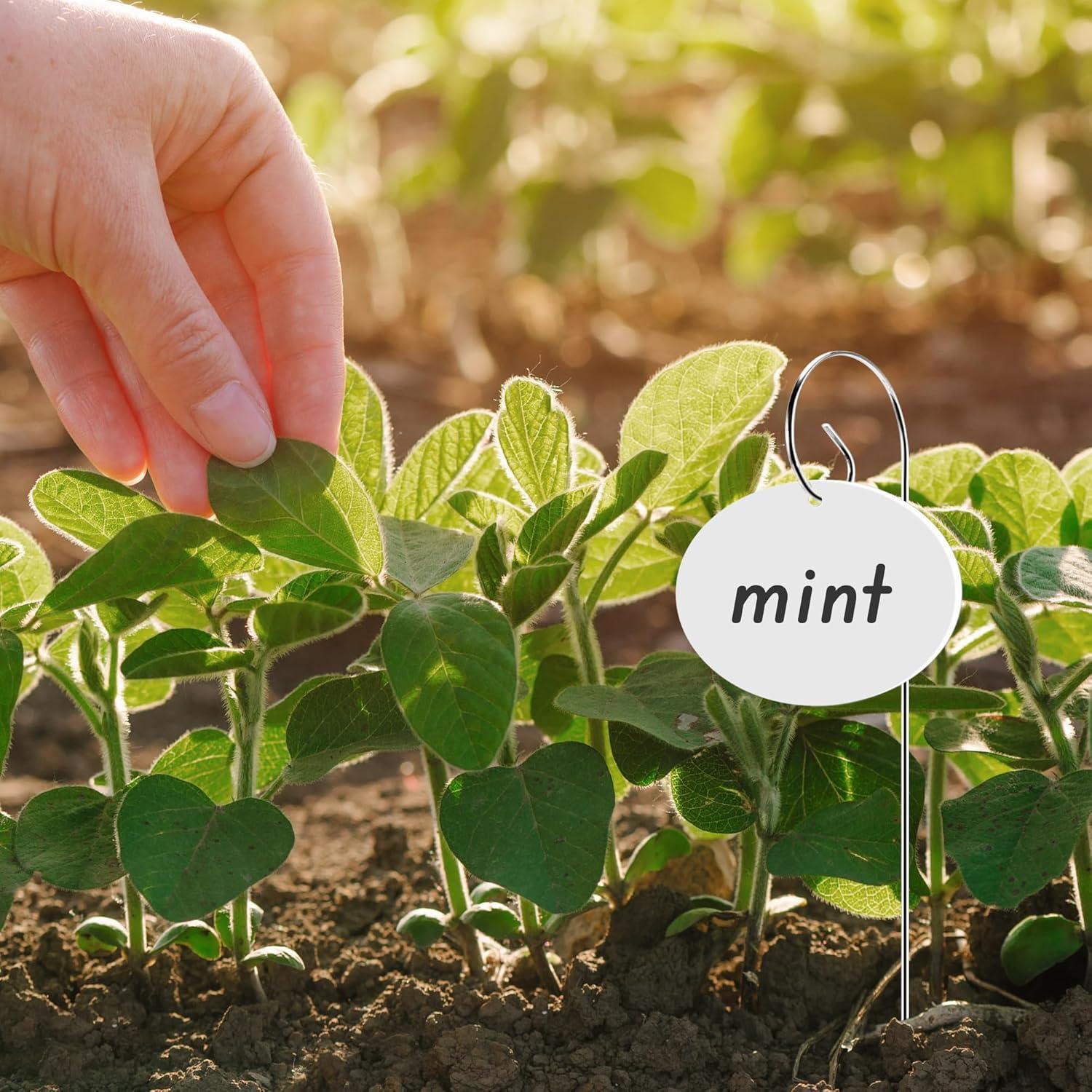 25 Etiquetas de Plantas Acrílico Morledoa con Estacas y Bolígrafo